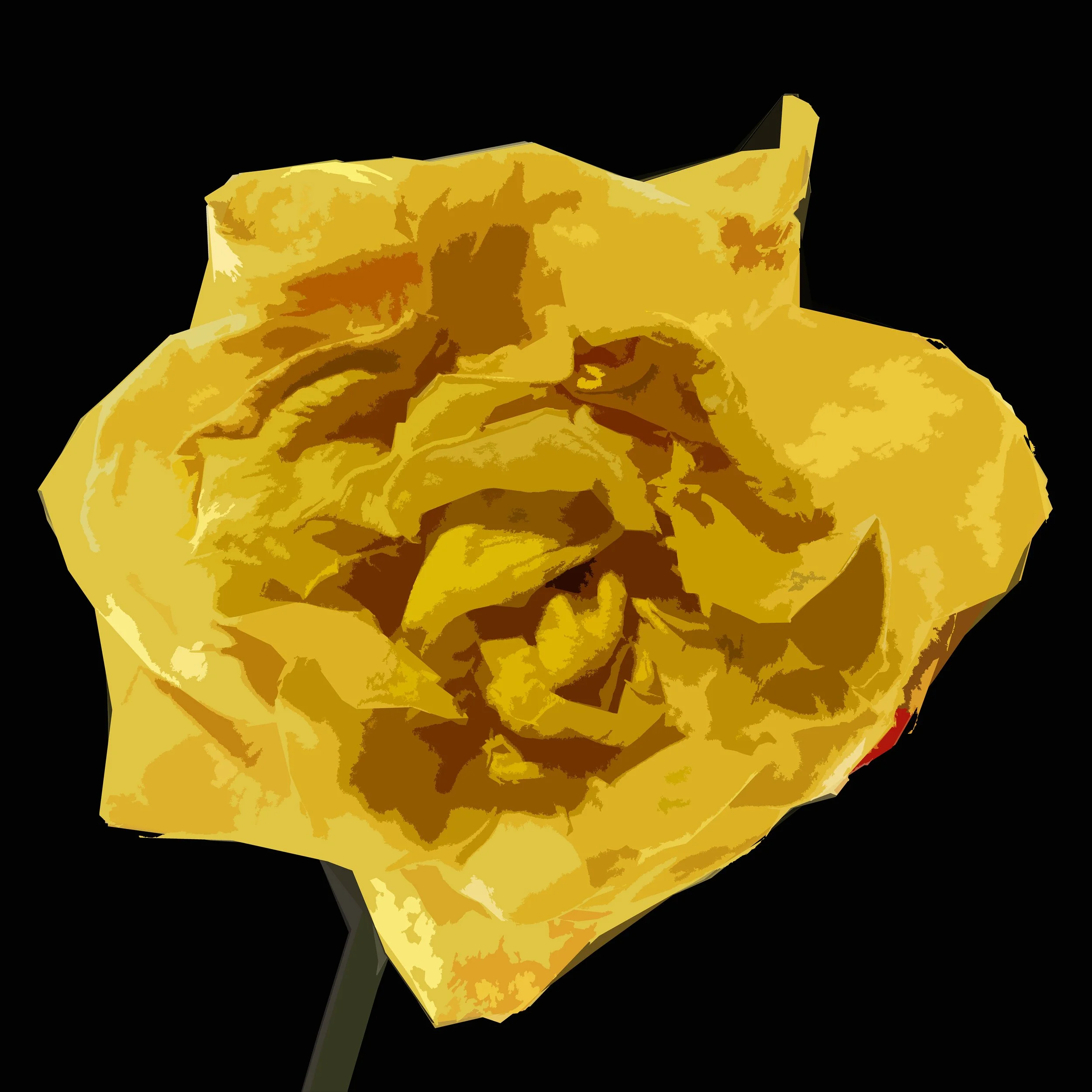 Dried Yellow Rose on Black