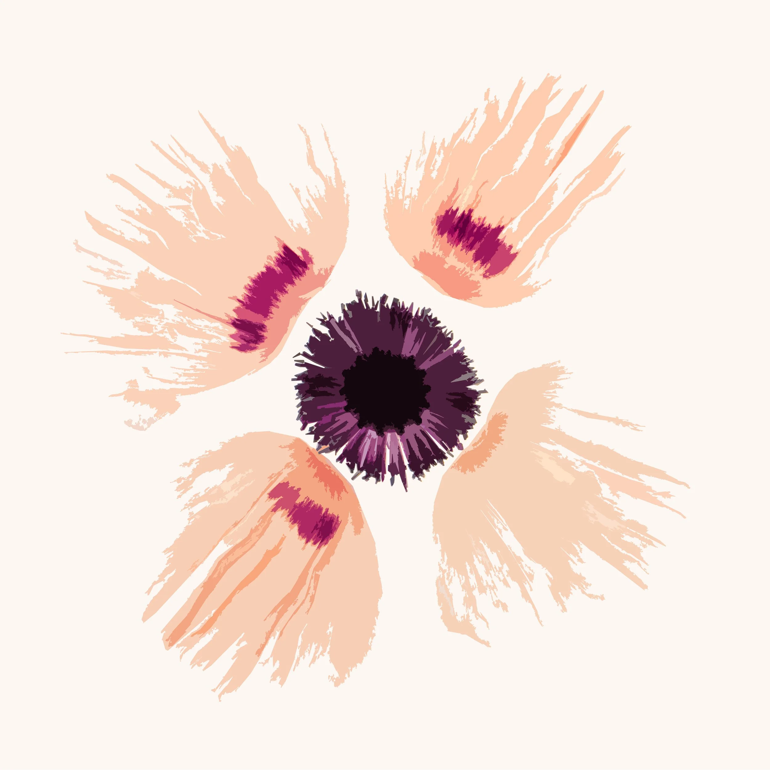 Deconstructed Poppy