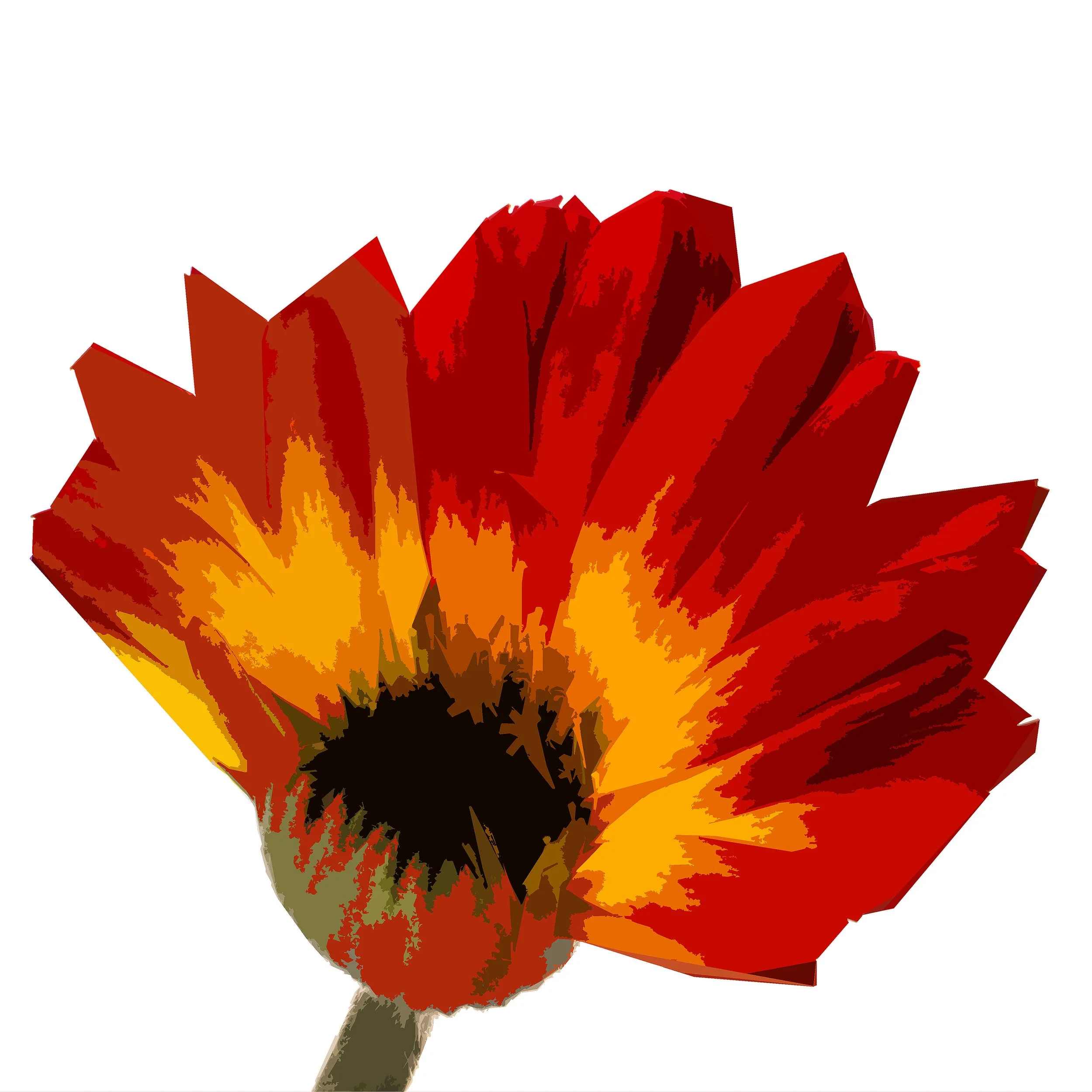 Gerbera Fan