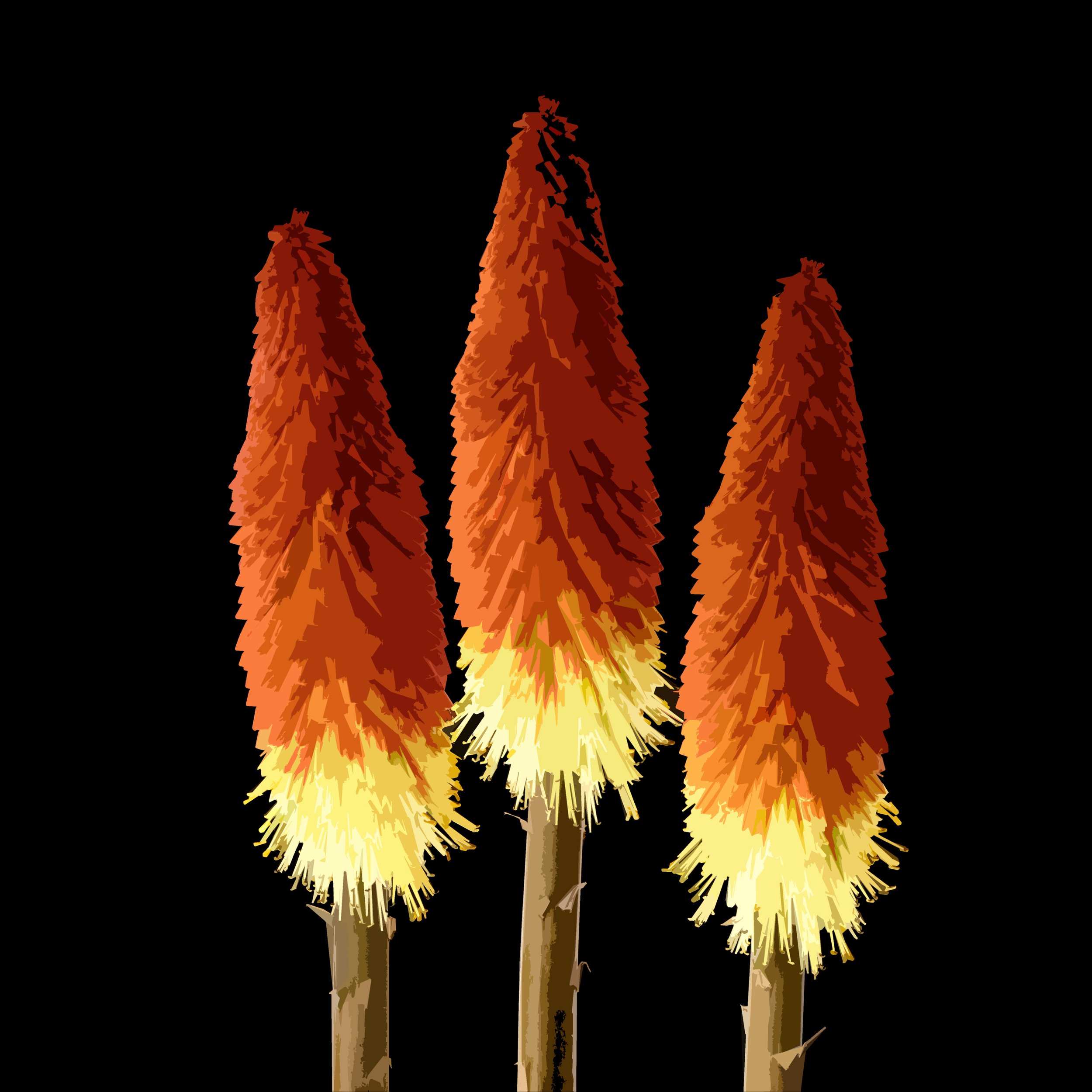 Trio of Pokers