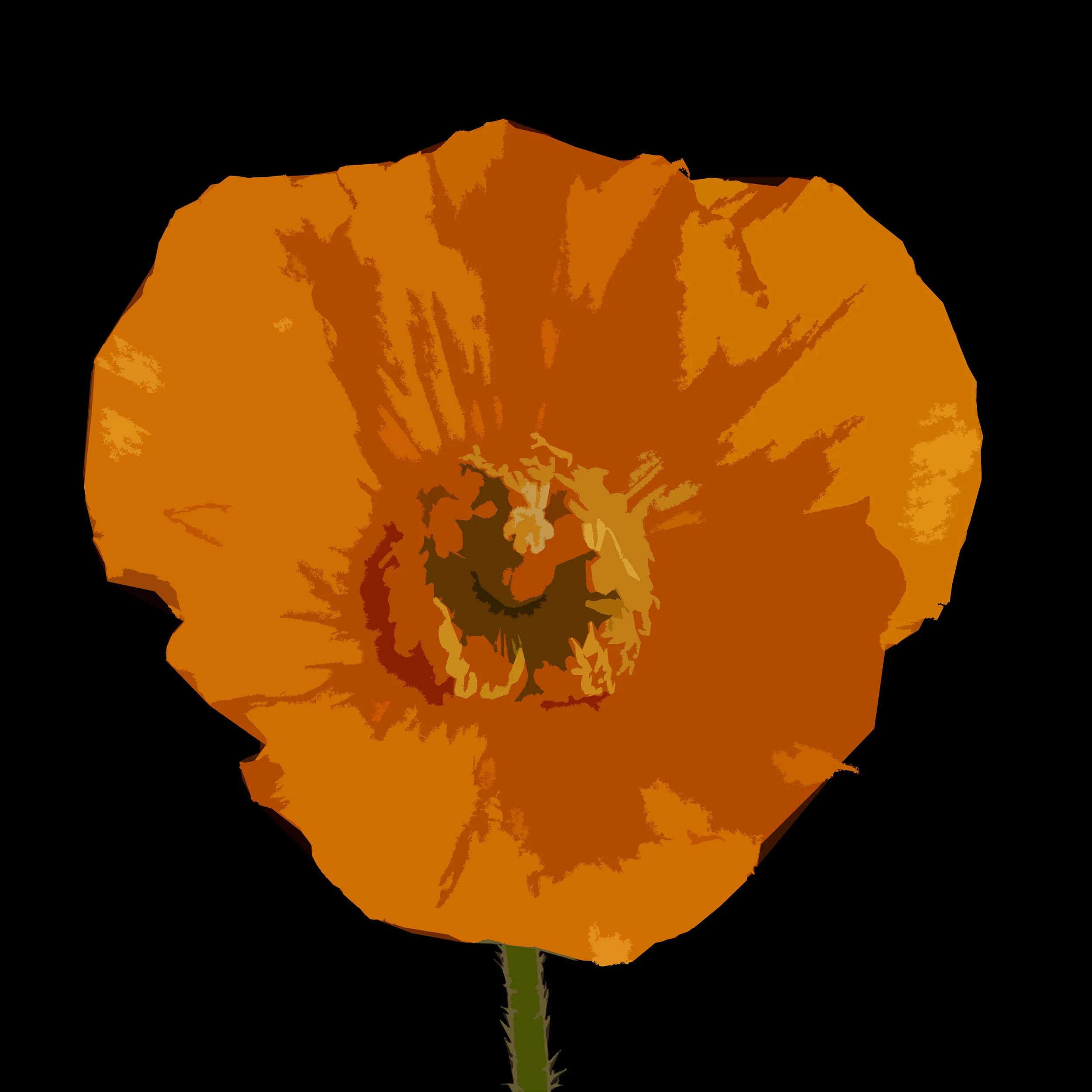 Orange Poppy on Black