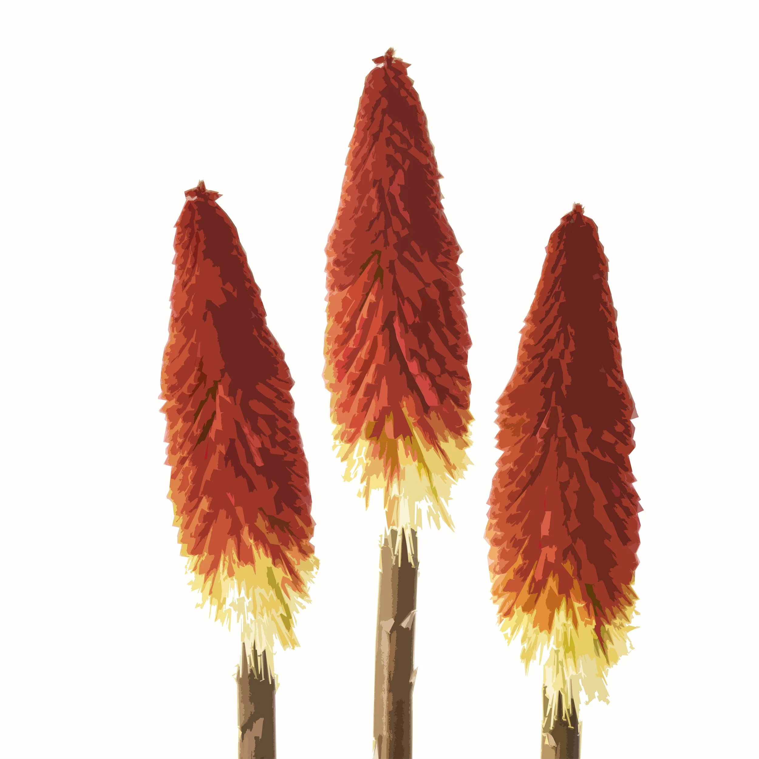 Trio of Pokers on White