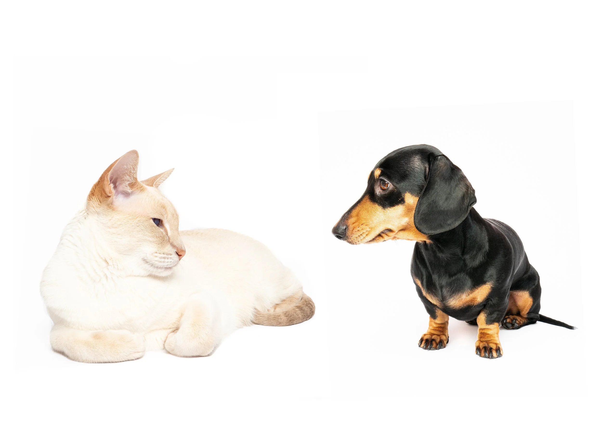 Frankie and Winnie.jpg
