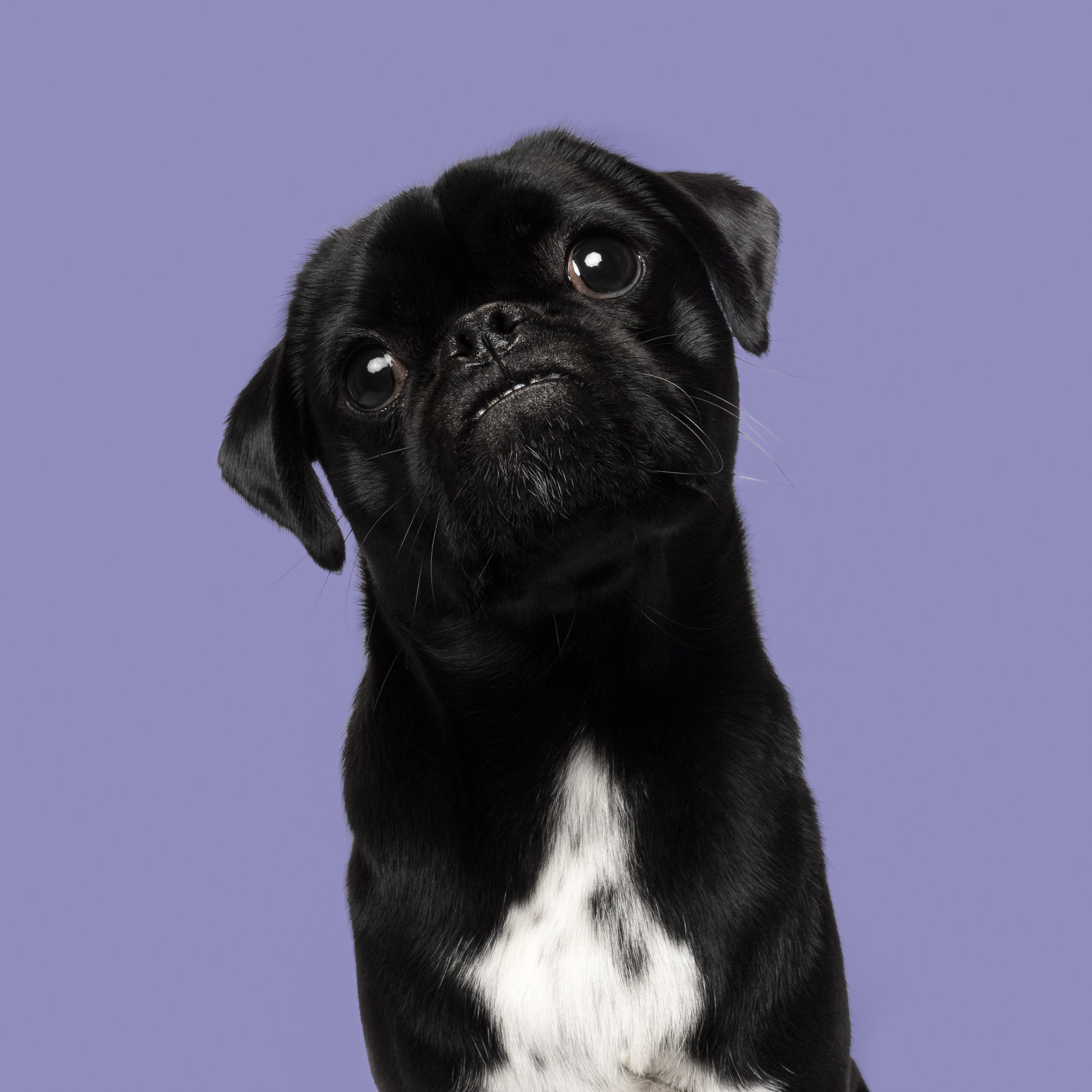 Reggie Edit 010125.jpg