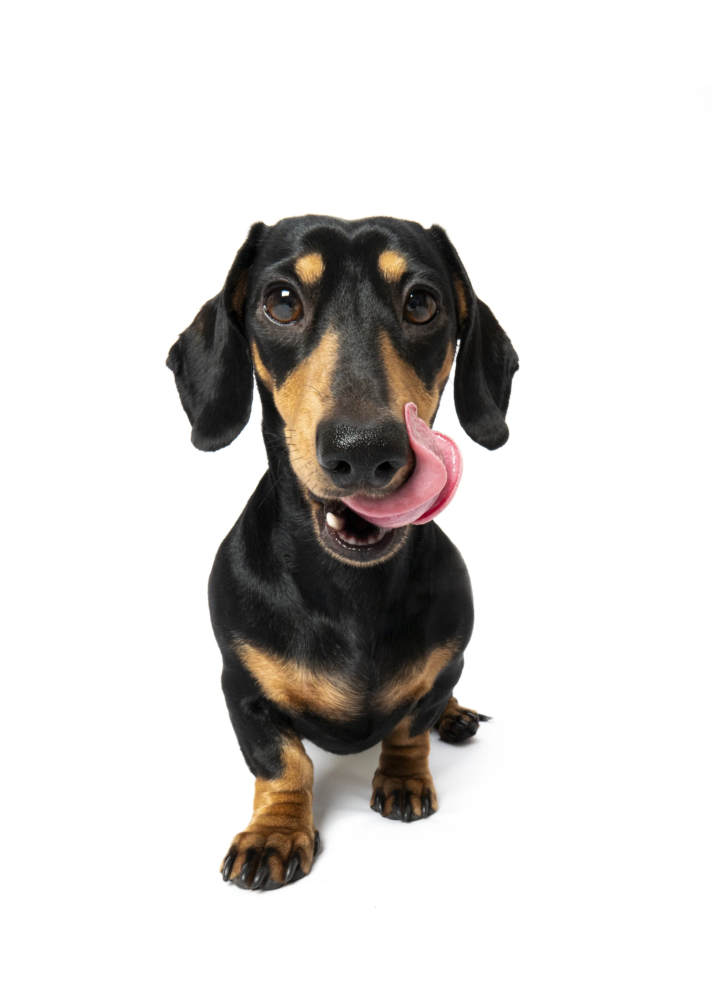 Winnie Tongue.jpg