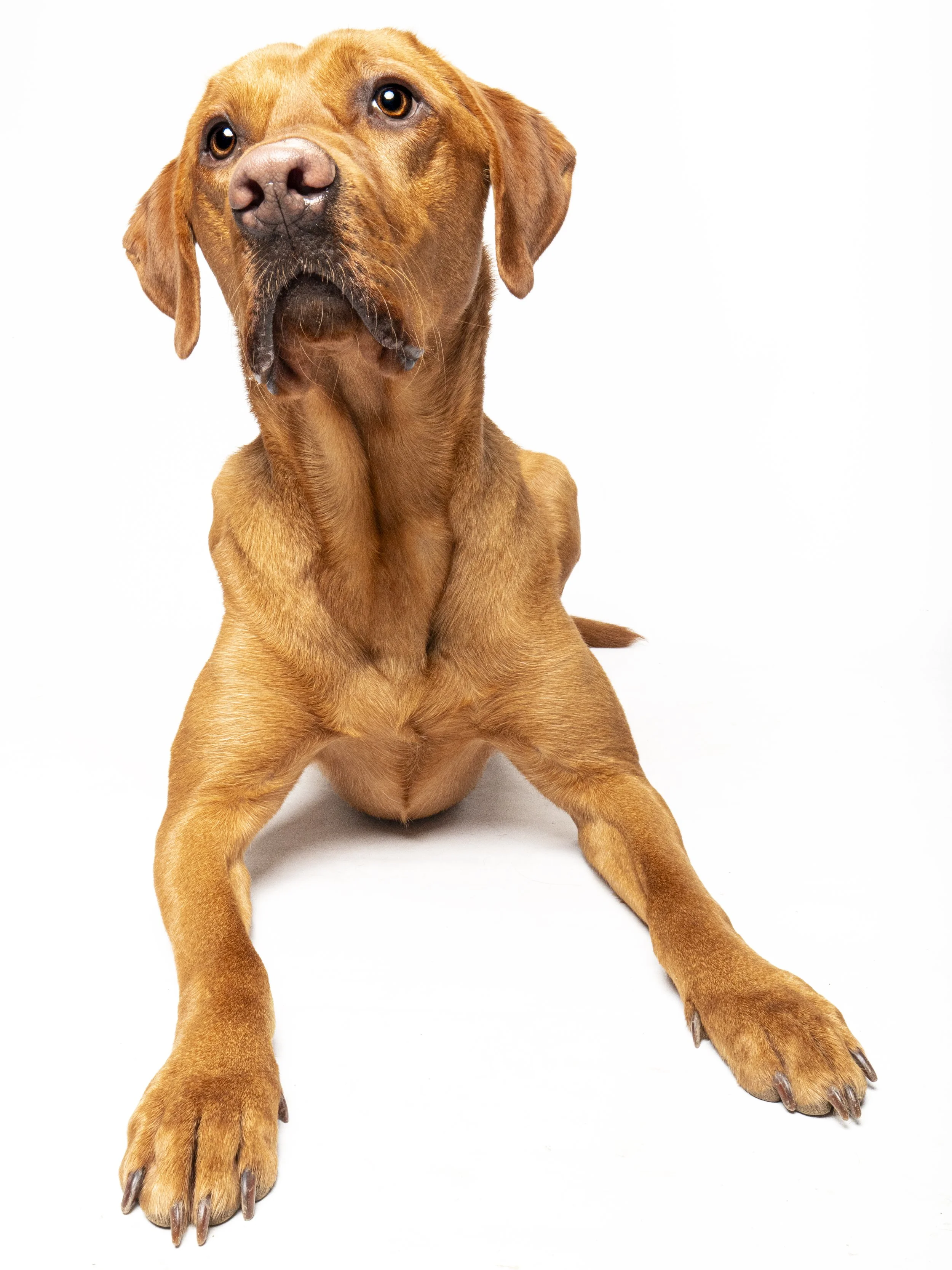 Lambert 14 Edit.jpg
