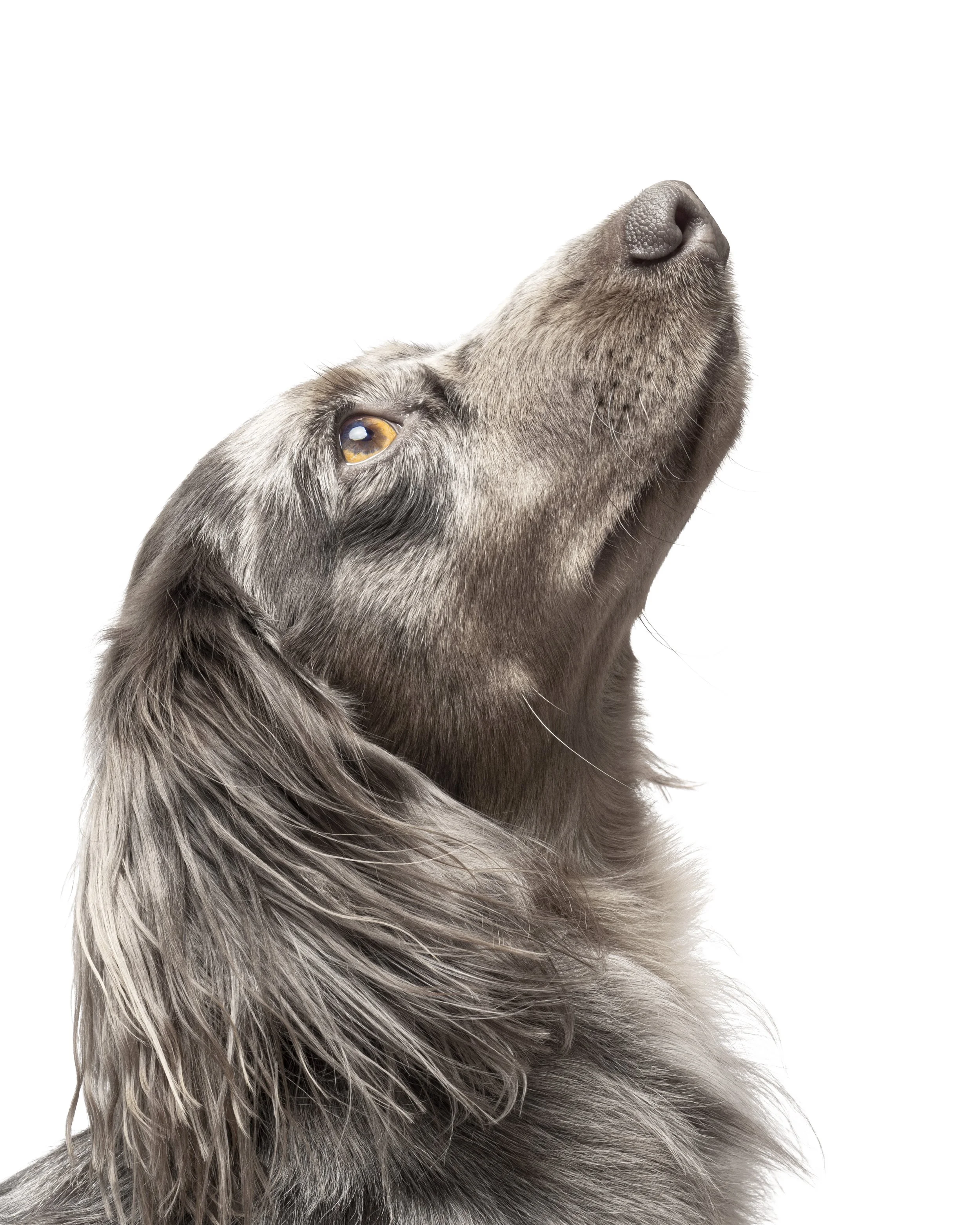 Kino BnW-colour Profile.jpg