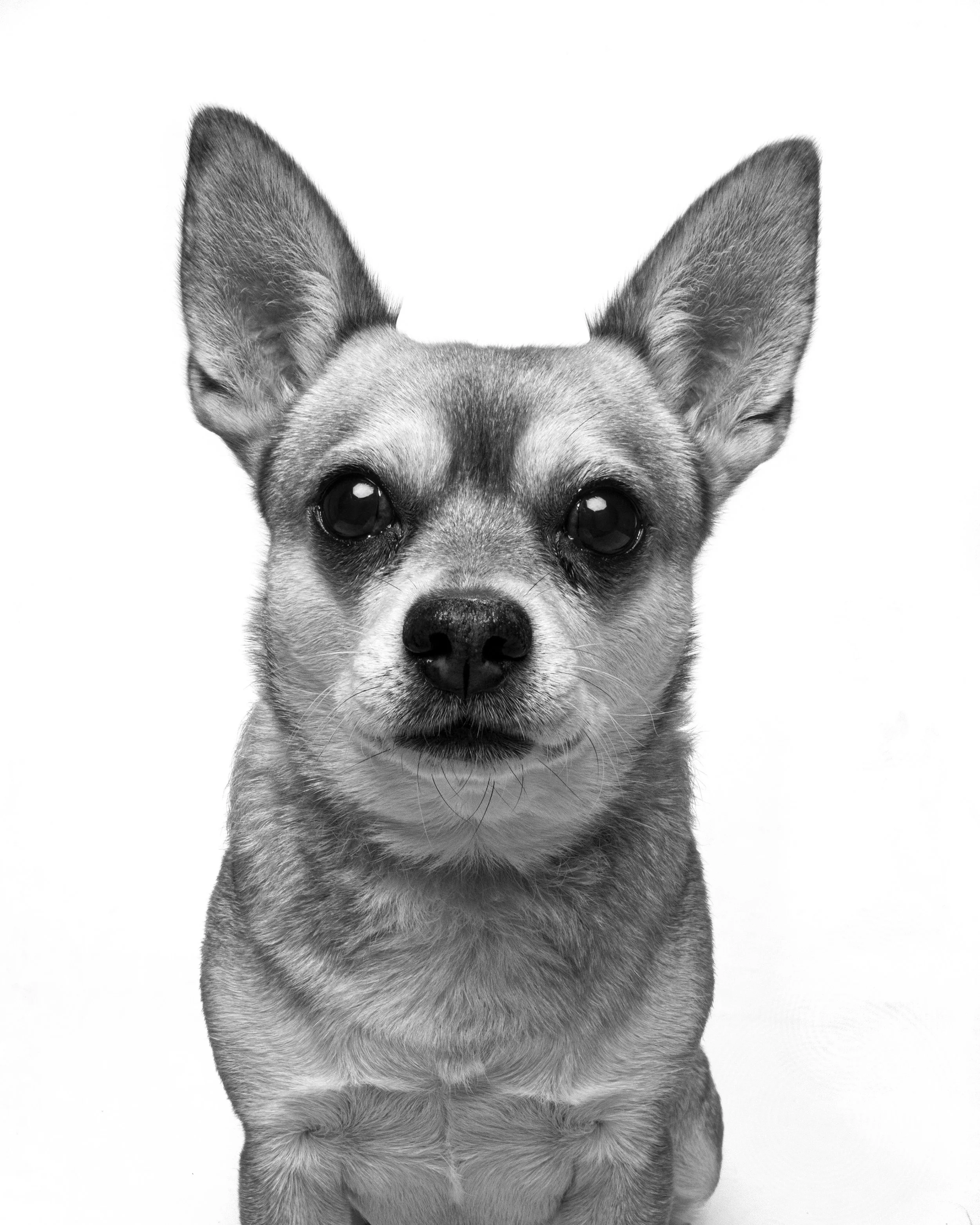 Alfiw BnW.jpg