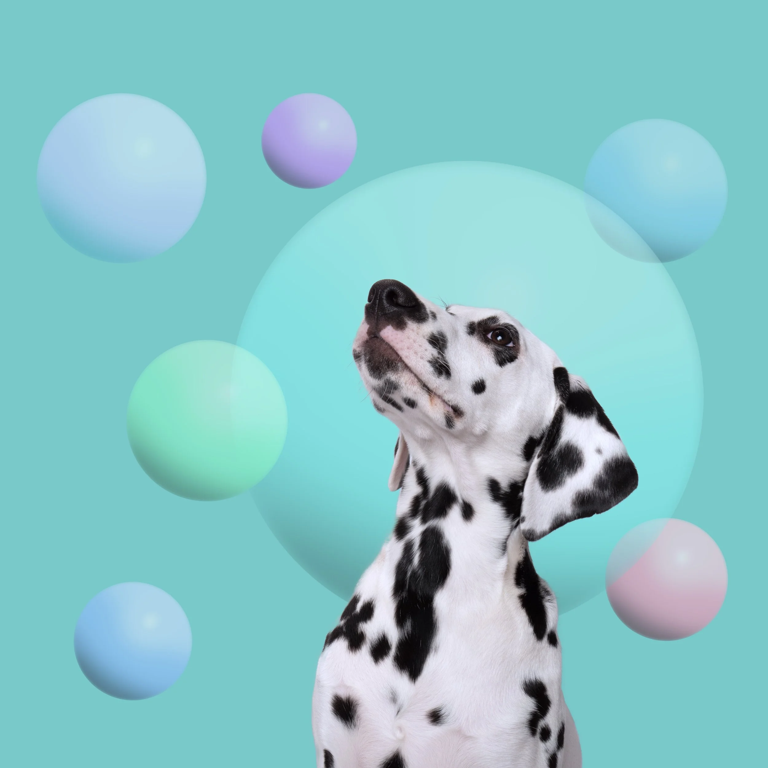 Onyx on Aqua Bubble multicolour .jpg