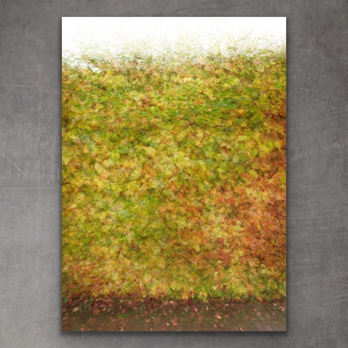Autumn Hedge