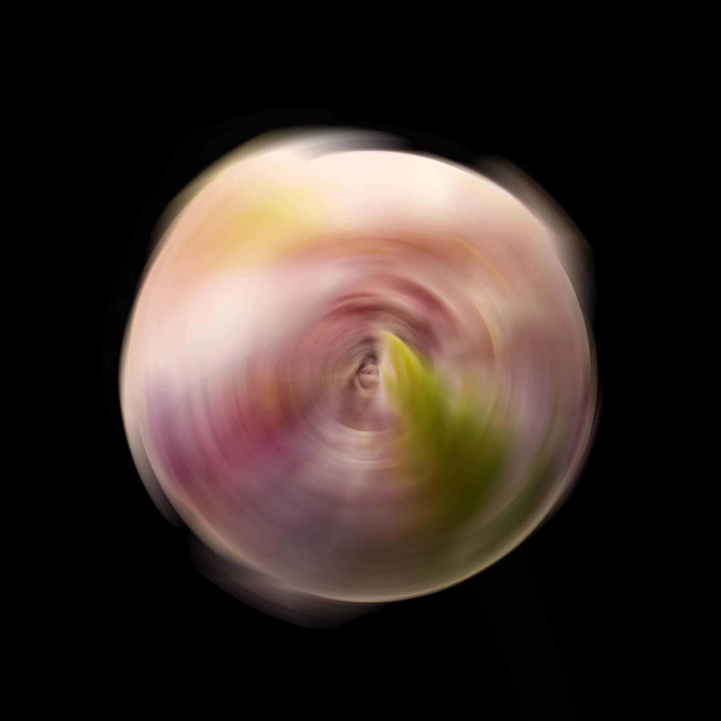 Flower Rotation 20