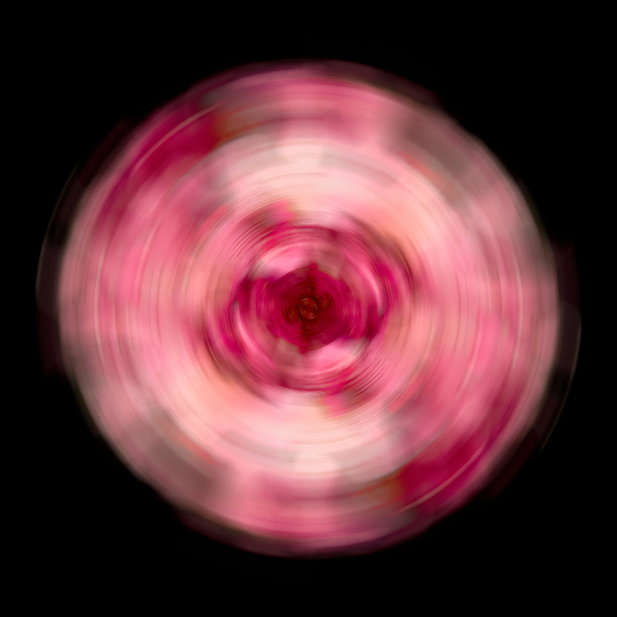 Flower Rotation 17