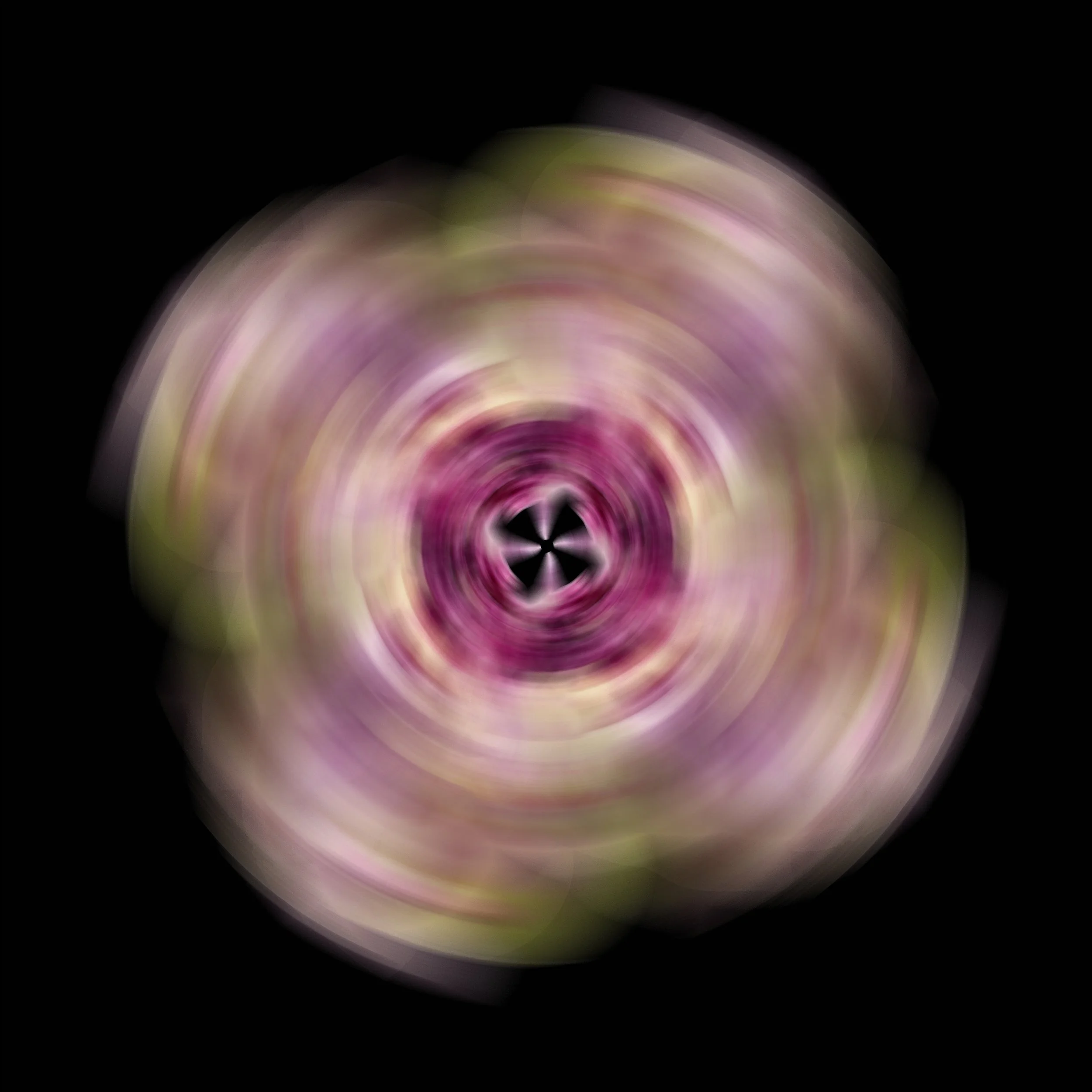 Flower Rotation 19