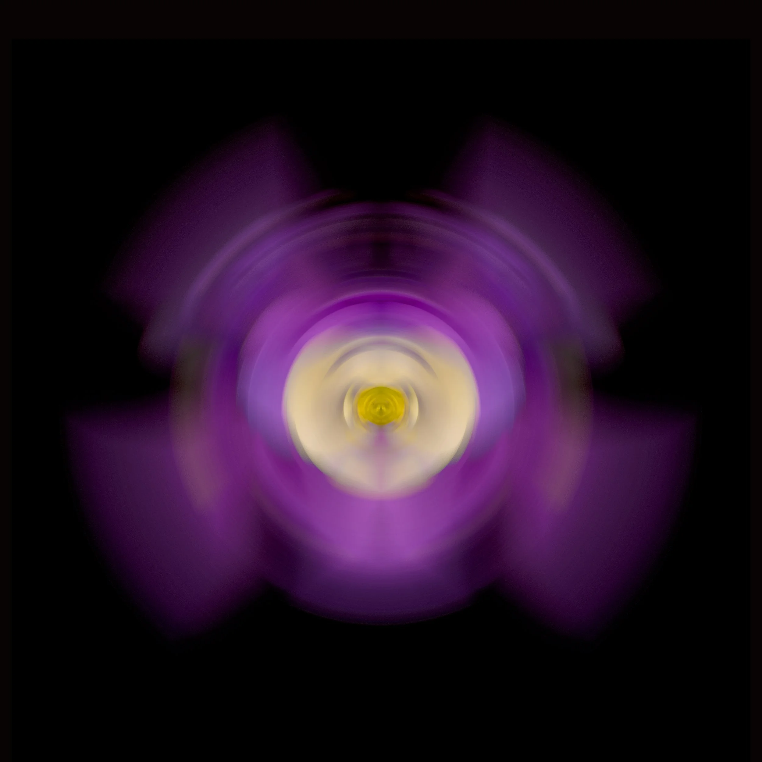 Flower Rotation 18