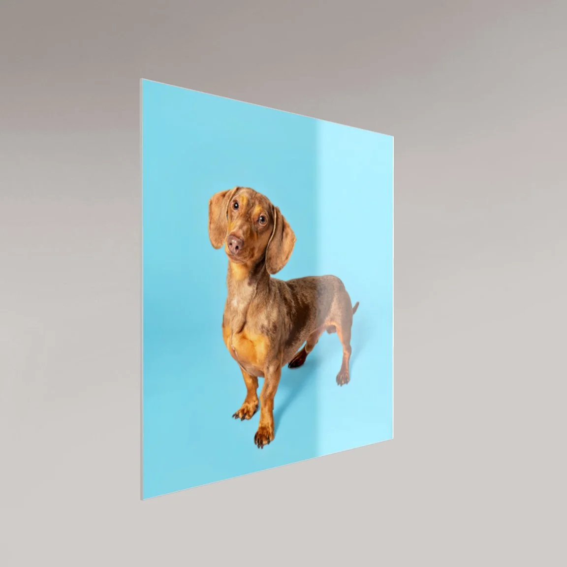 Acrylic Print with Slimline Frame (Rectangle 4:3)