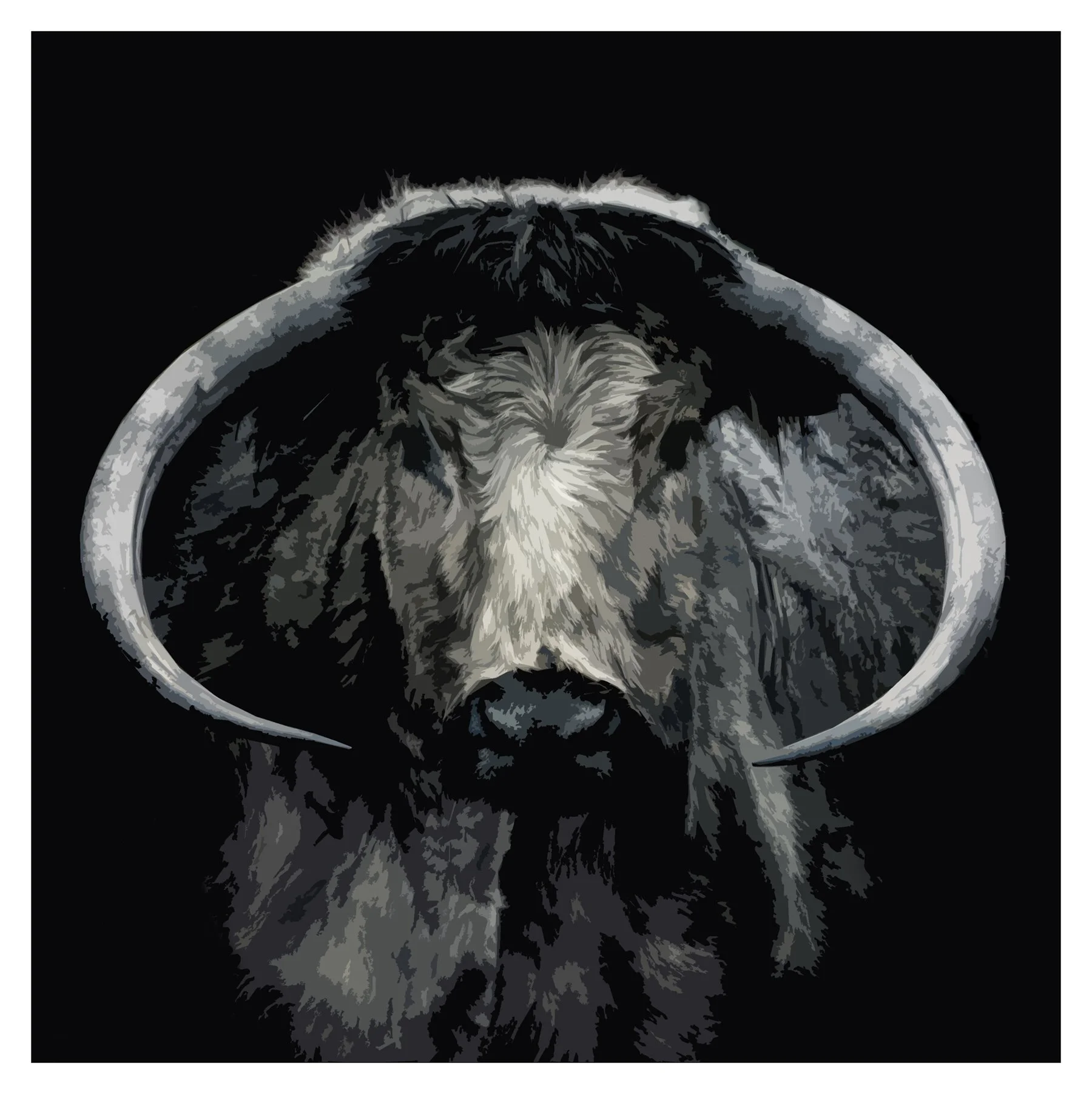 Grey Cow