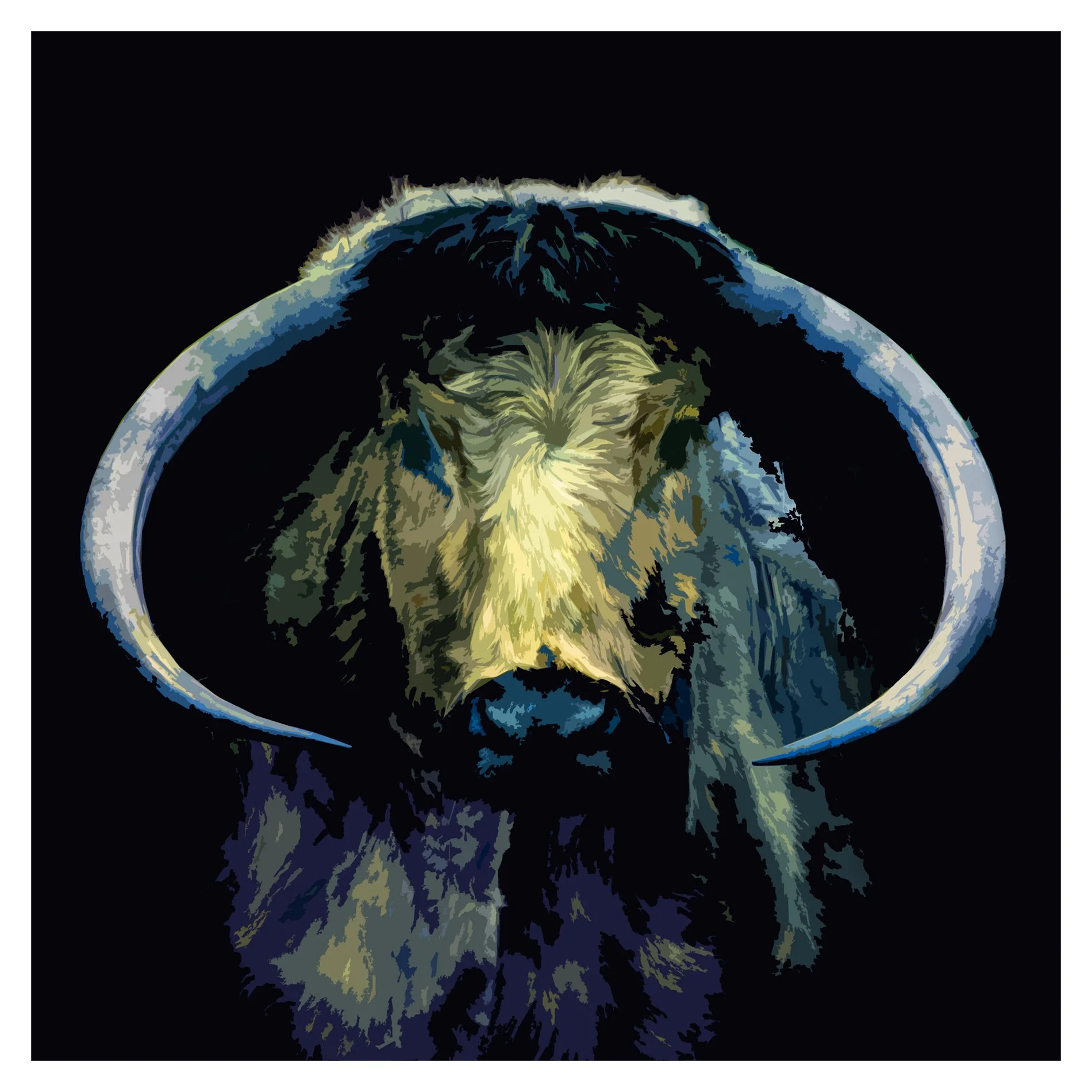 Old English Cattle 2