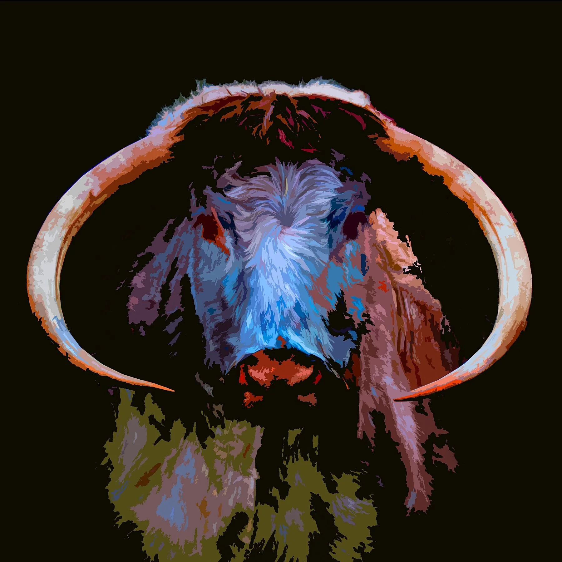 Long Horn