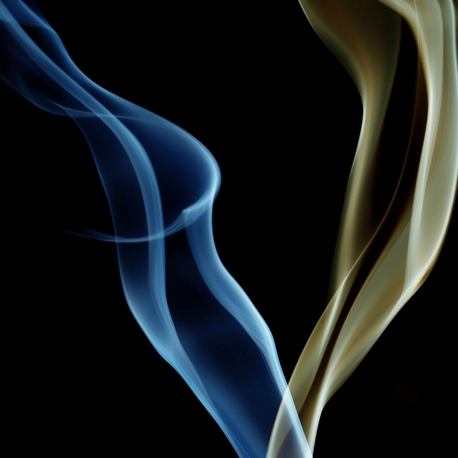 Transient 6
