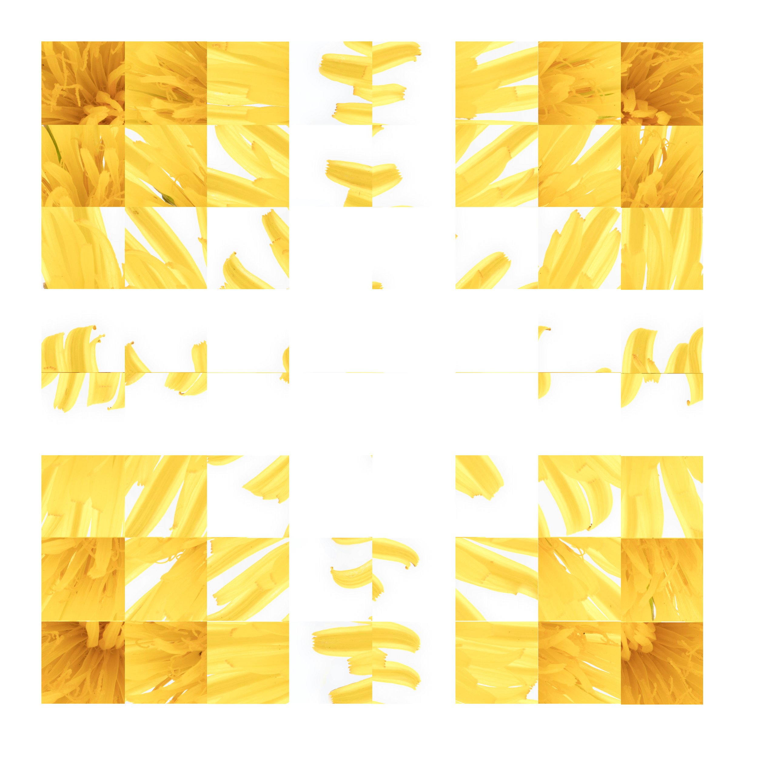 Dandilion Rubik.jpg