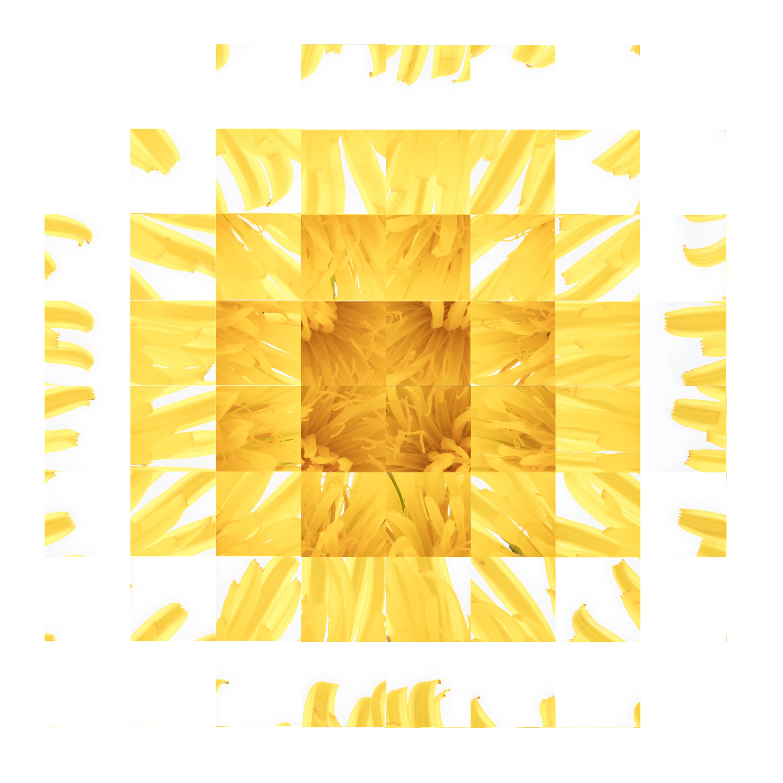Dandilion Rubik 2.jpg