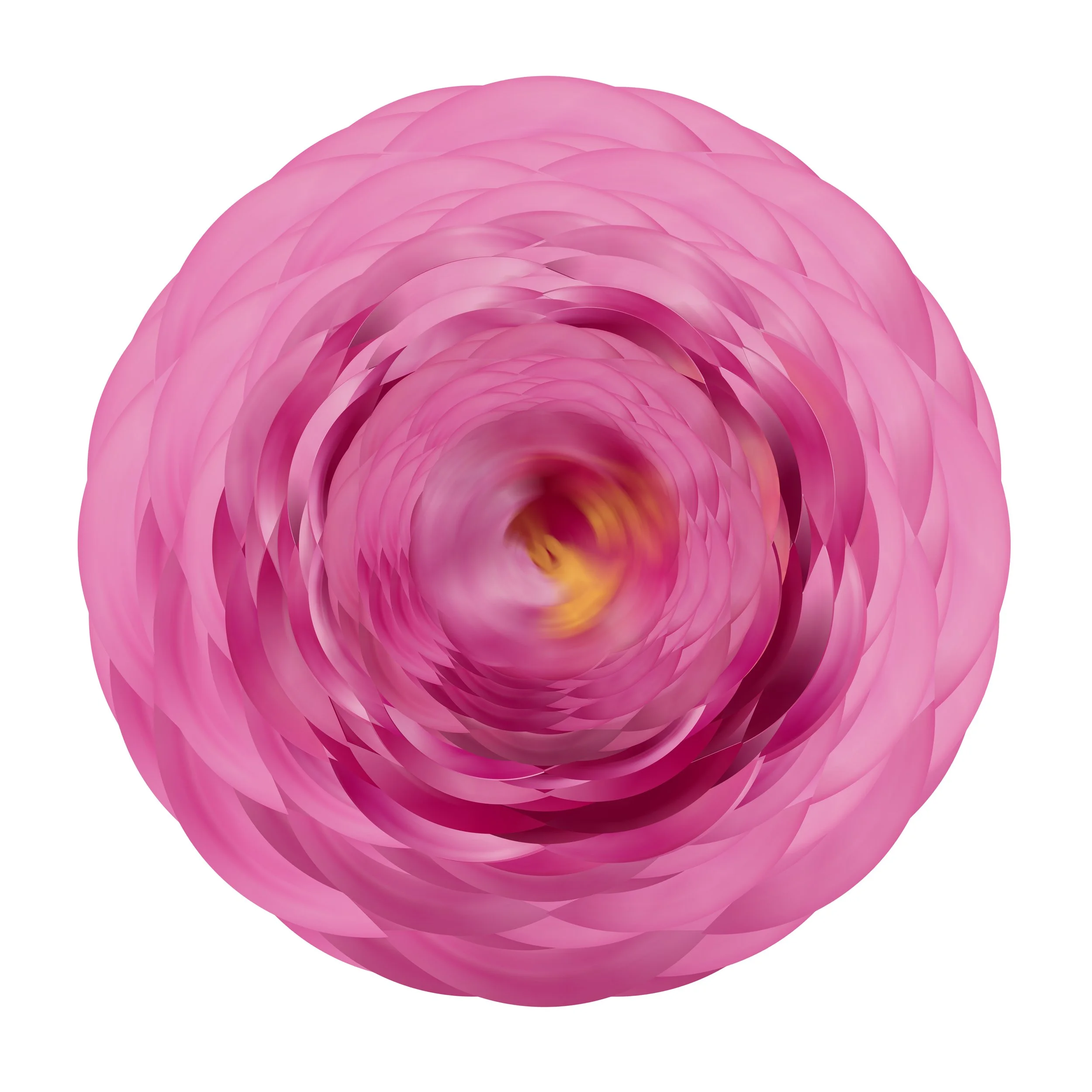 Abstract Peony