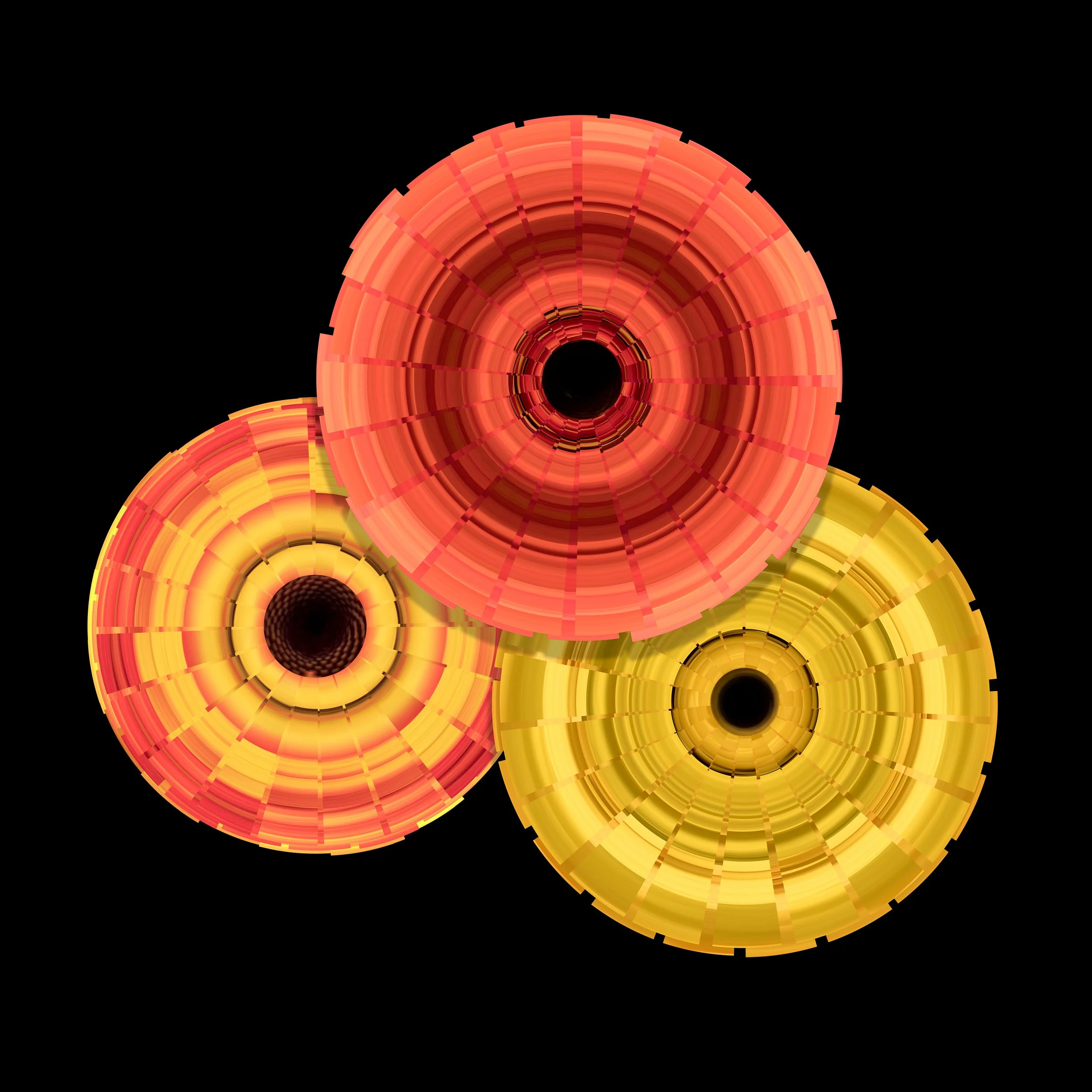 Three Gerbera
