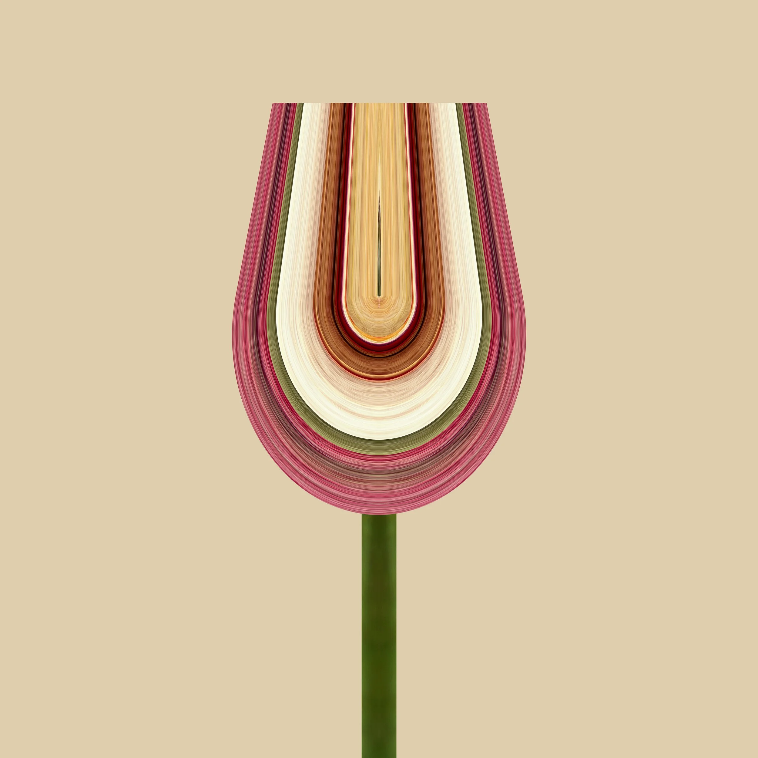 Rose 3