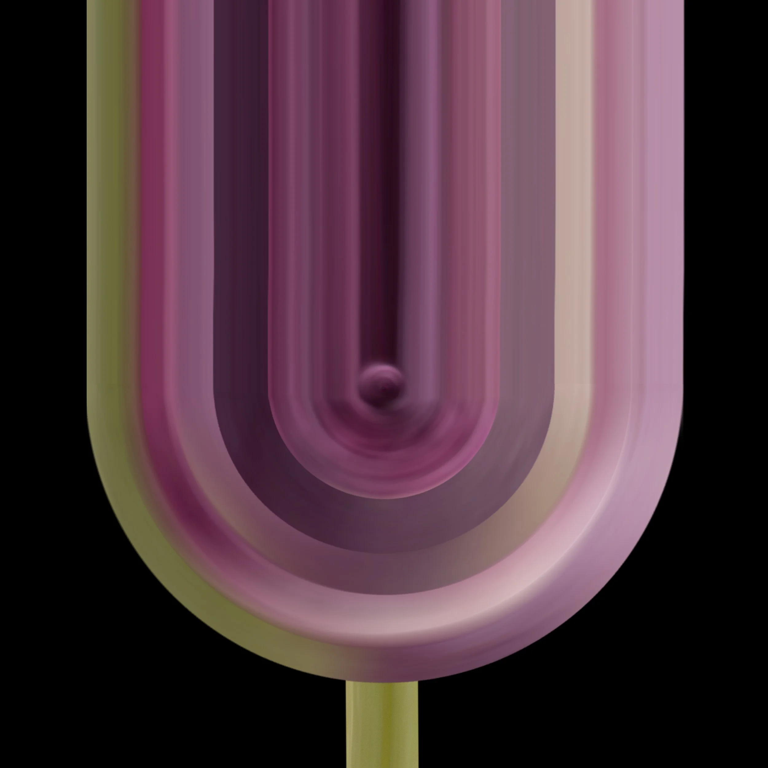 Purple Tulip