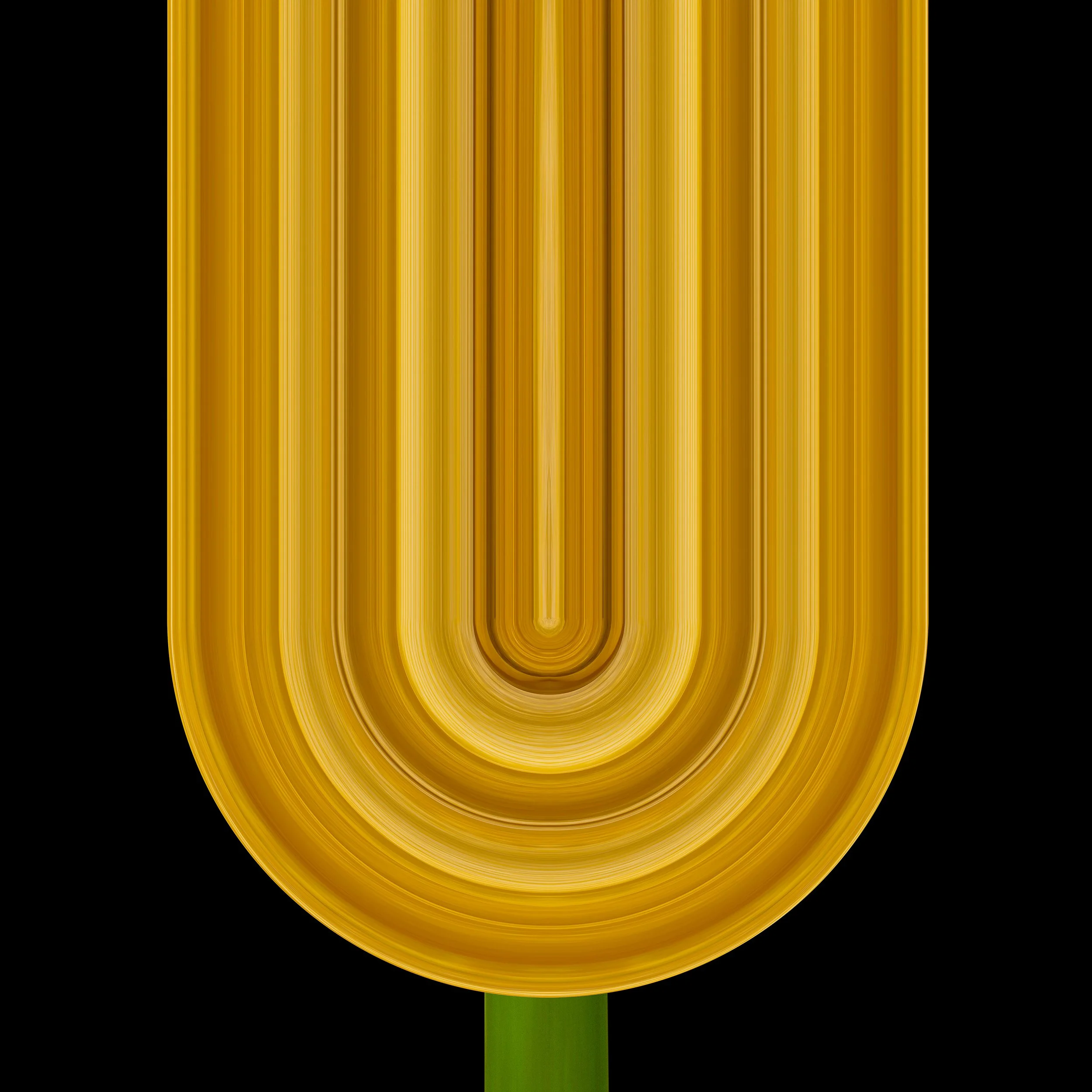 Golden Tulip 