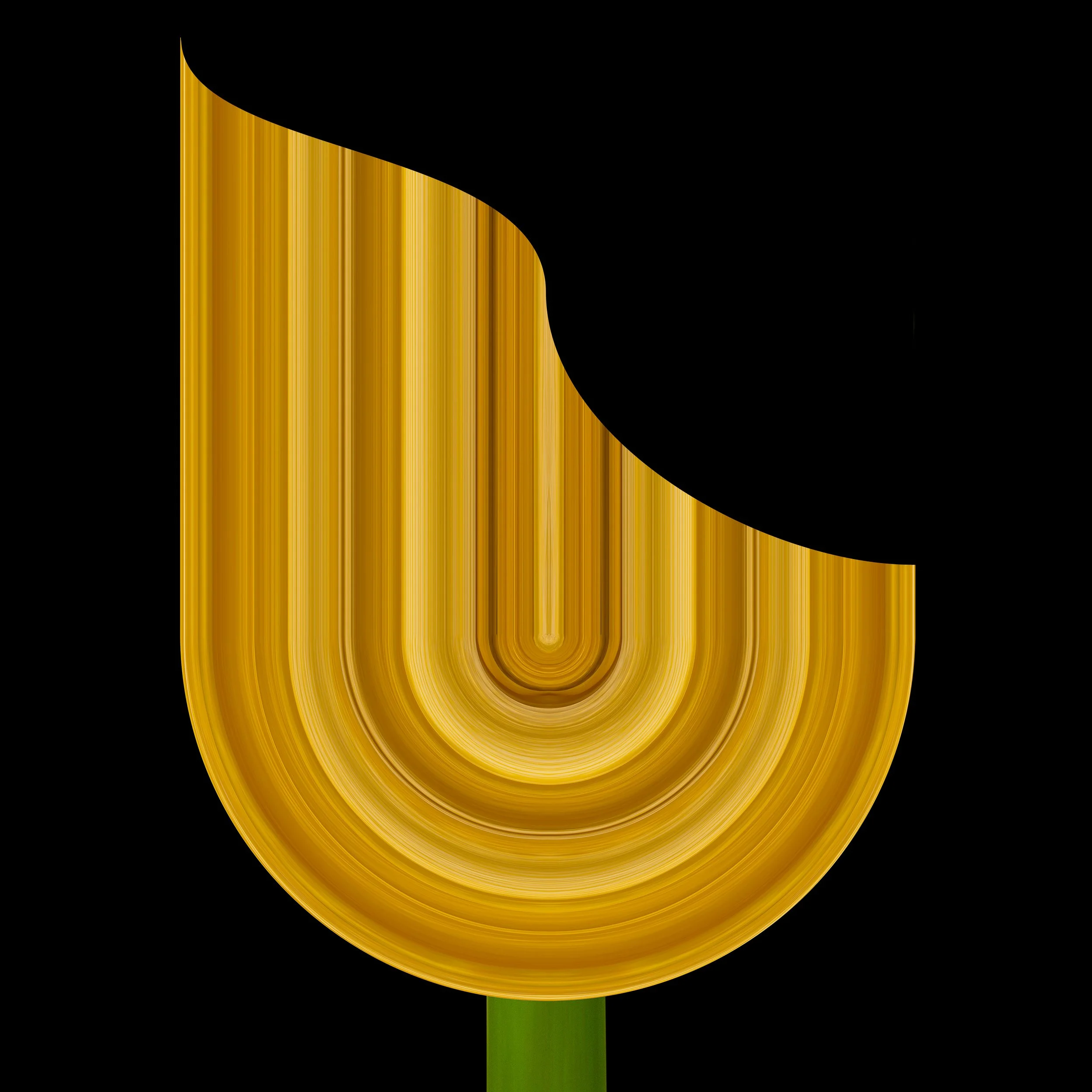 Golden Tulip 2