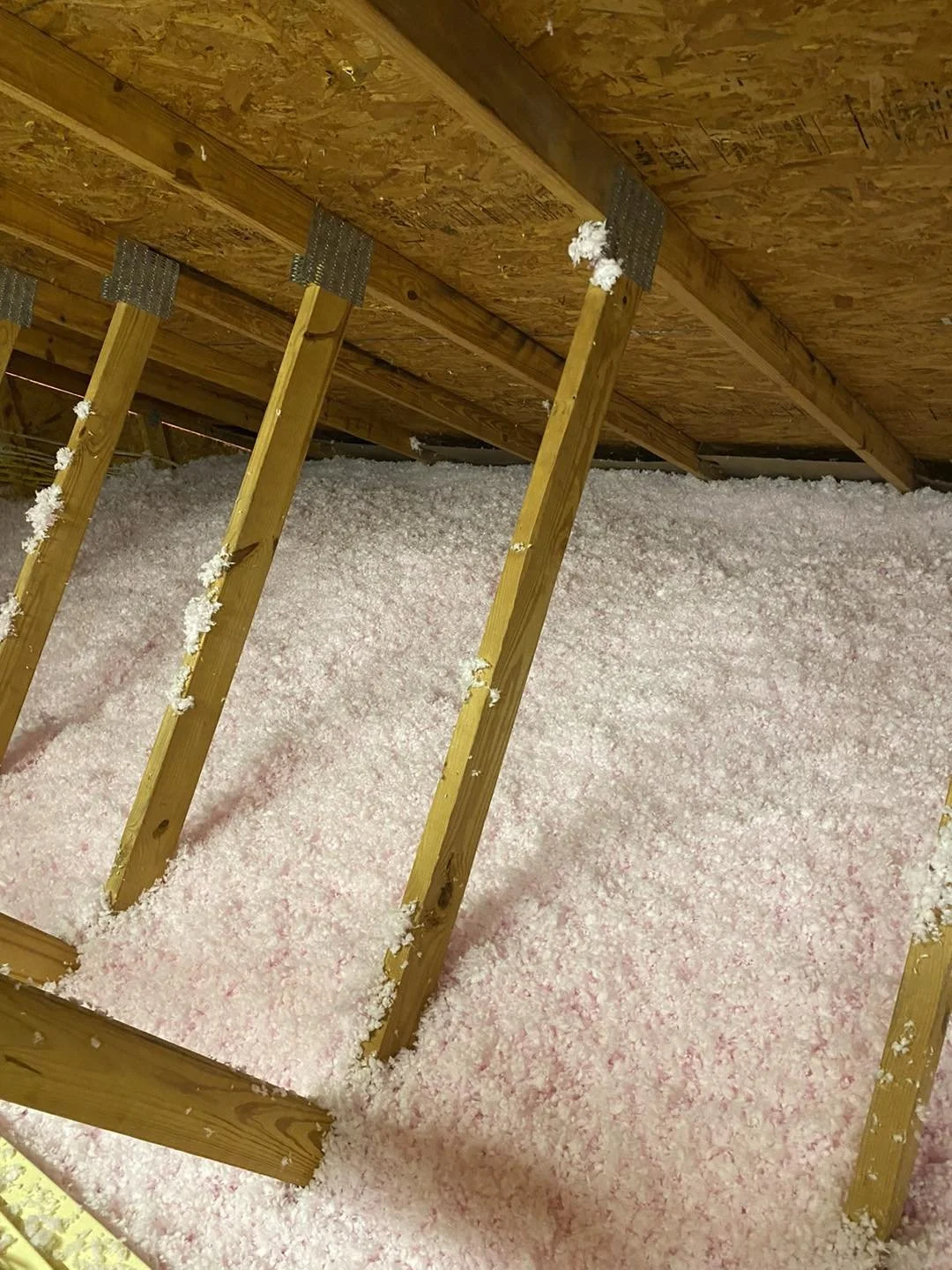 insulation 4.jpg