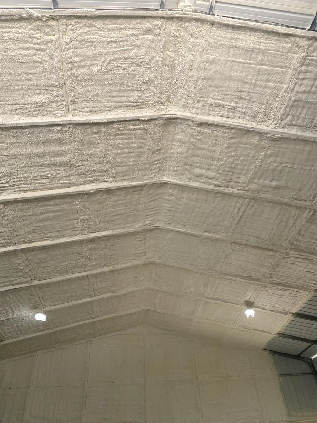 insultion 5.jpg