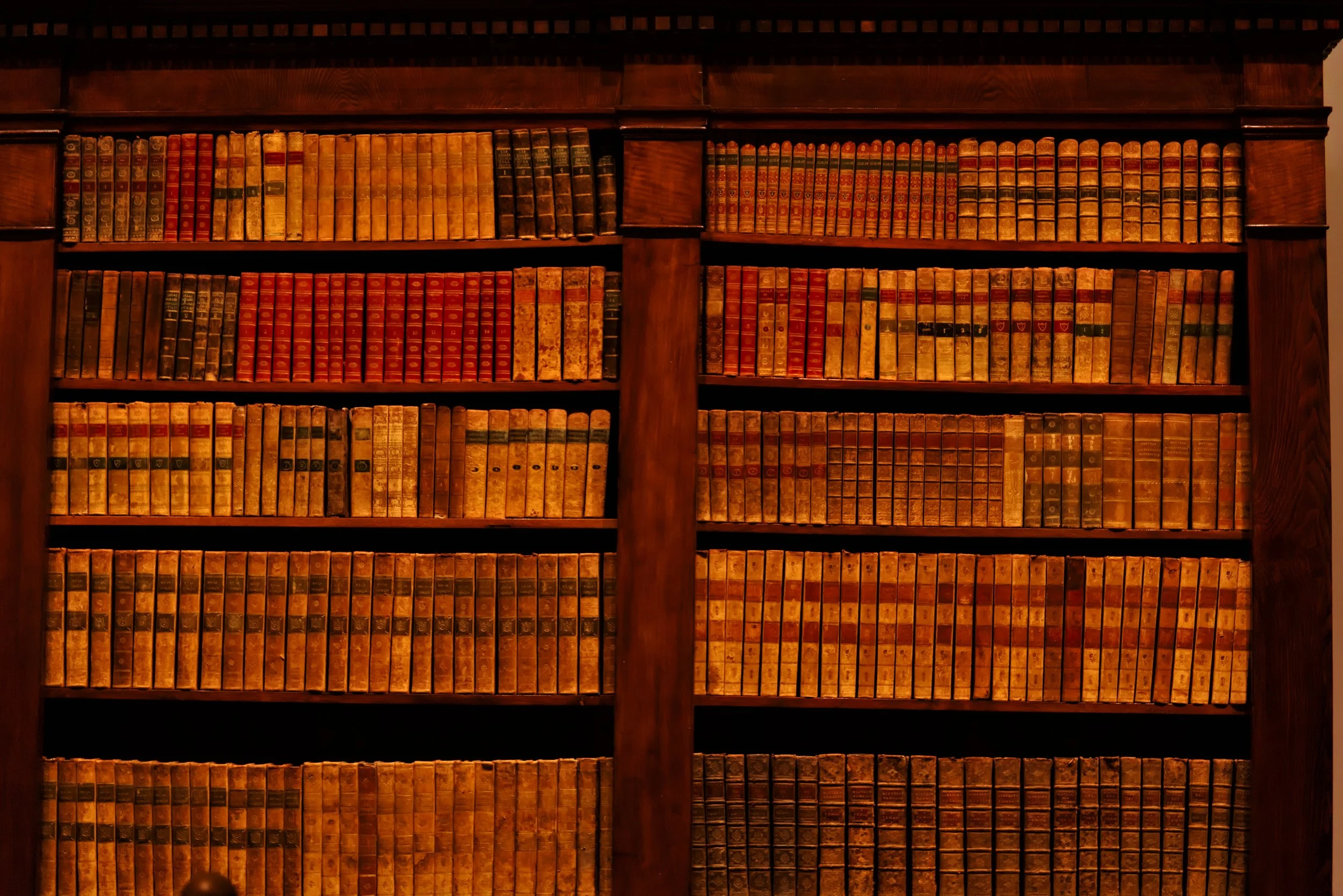 L-Bookshelves.jpg