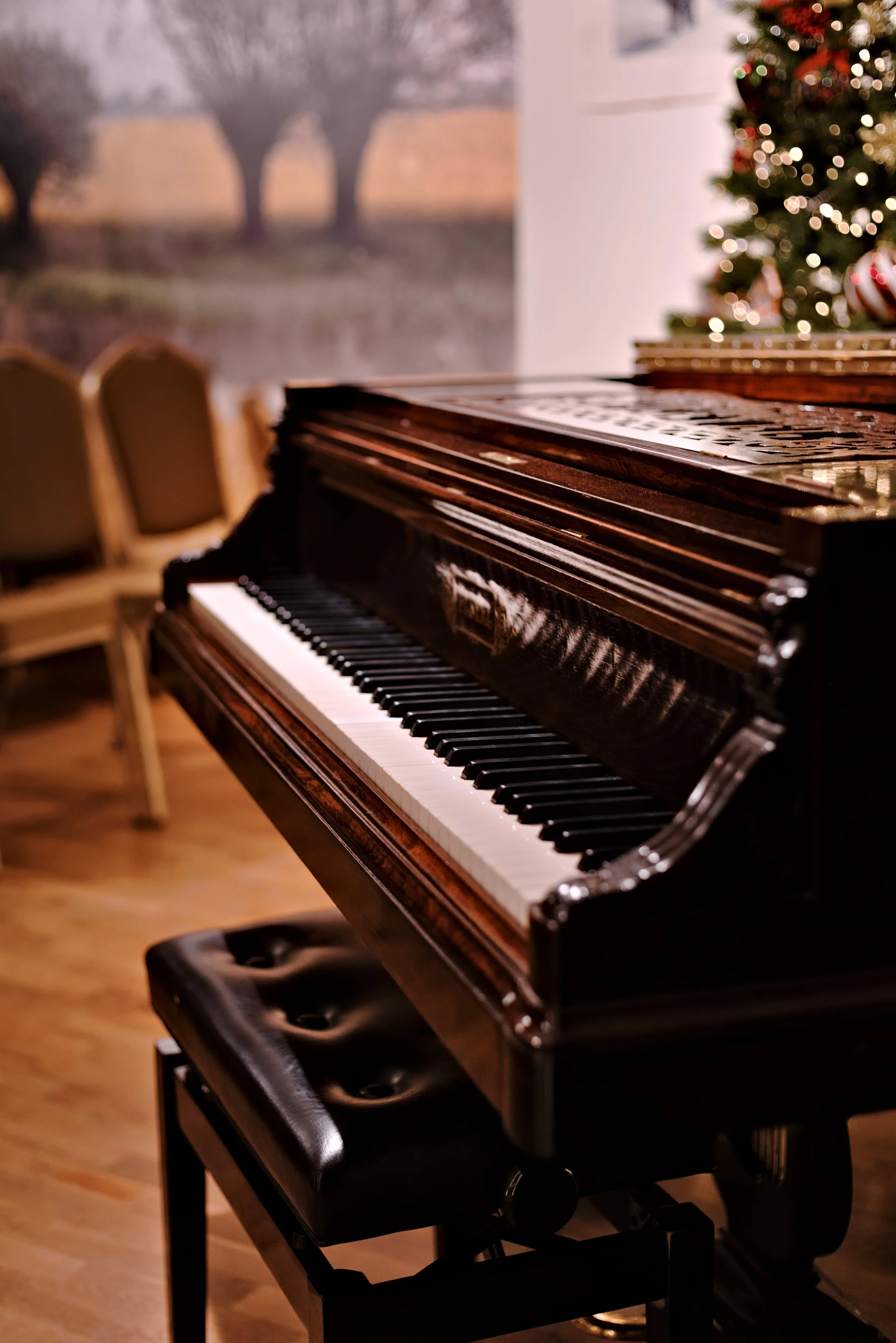 P-Pleyel.jpg