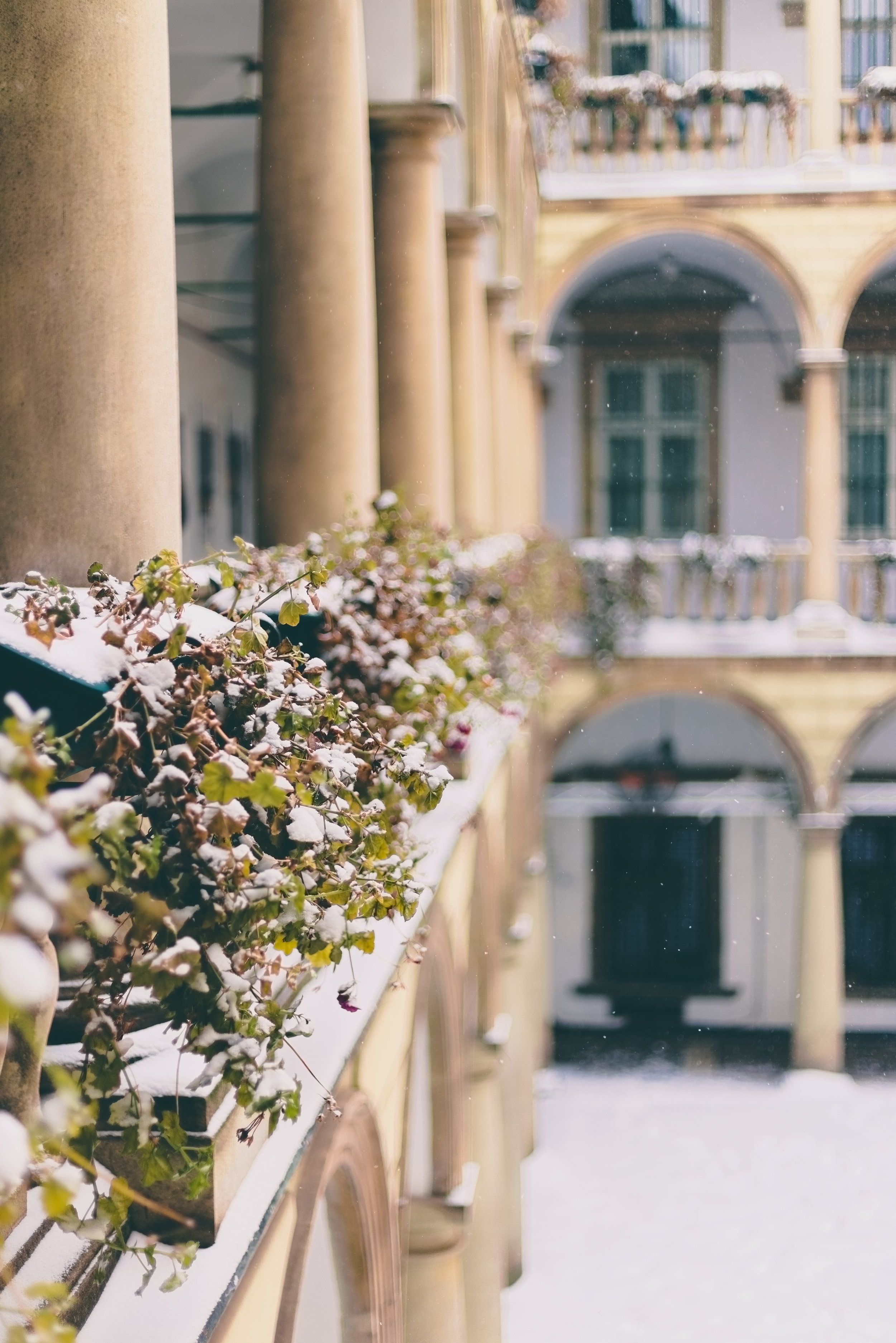 P-Italian Courtyard Rail Garden.jpg