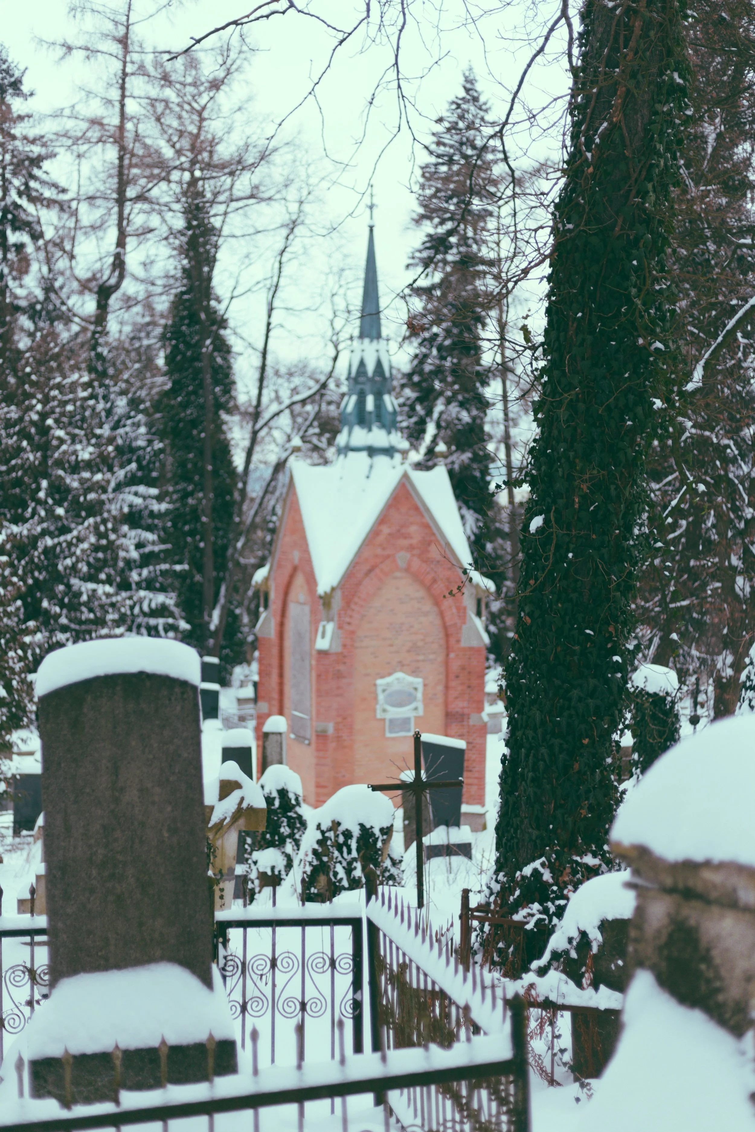 P-Lychakiv Crypt.jpg