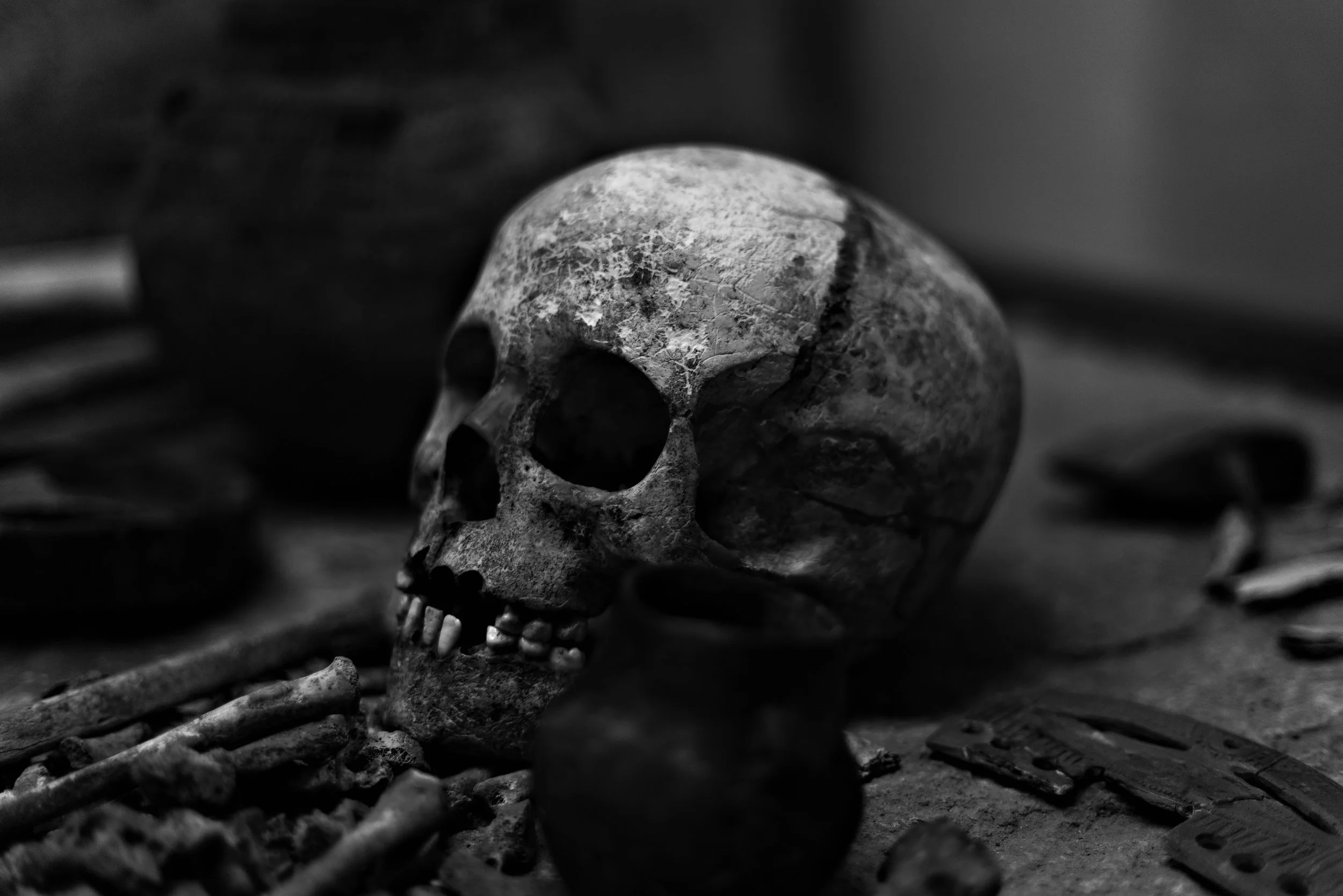 L-Child_s Skull.jpg