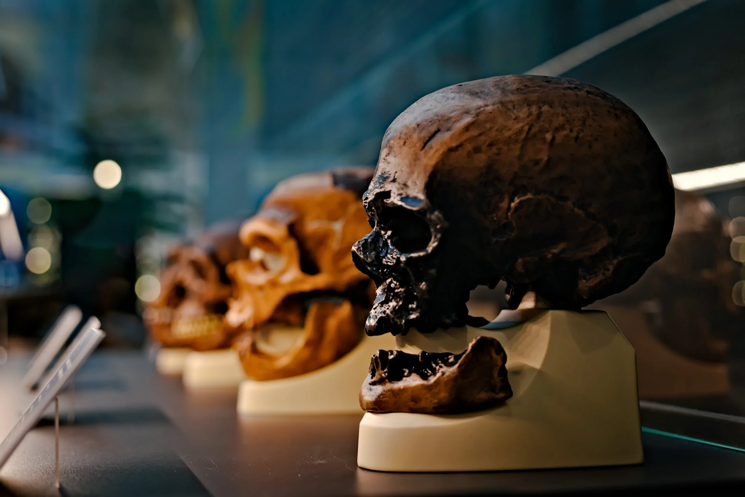 L-Skulls.jpg