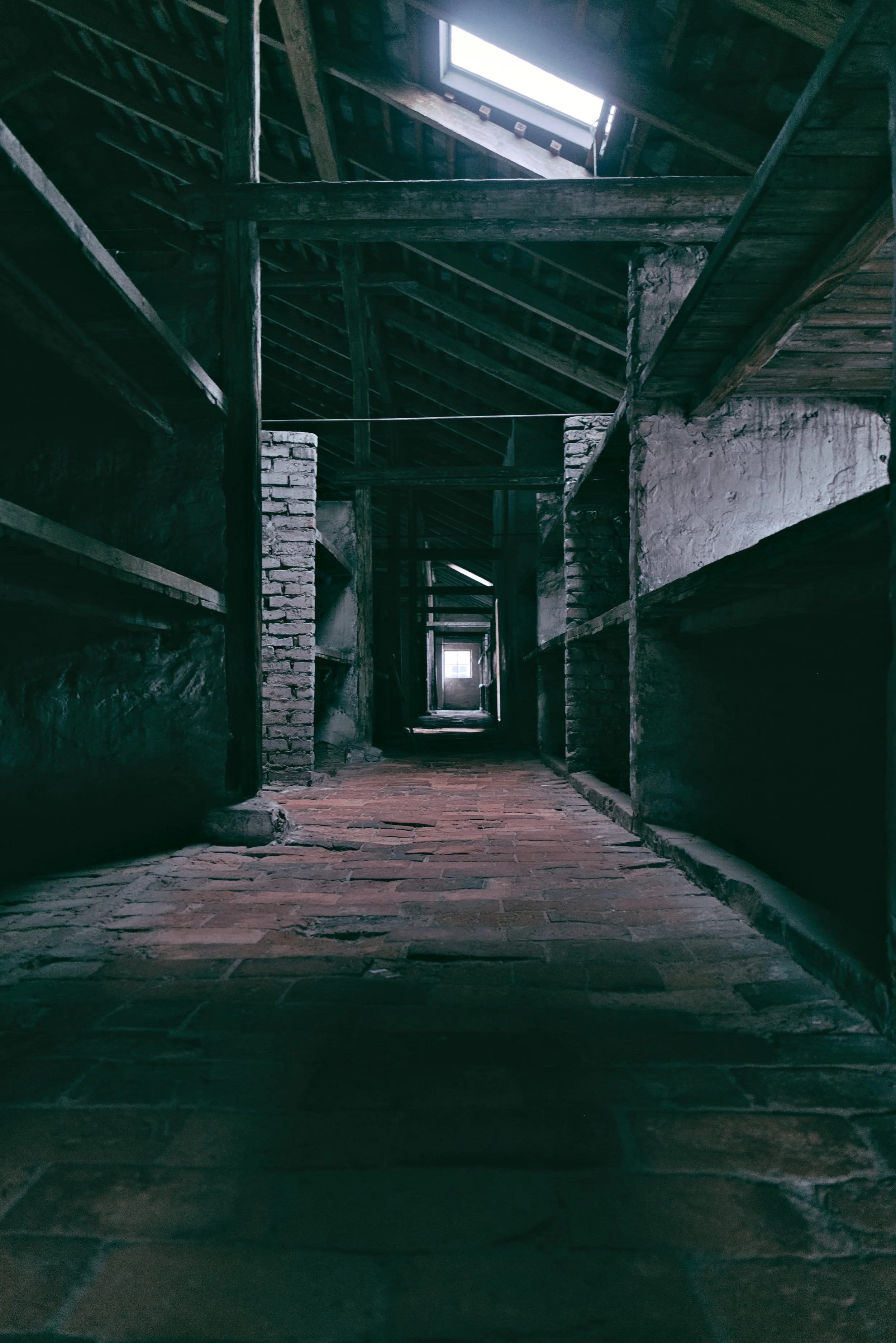 P-Auschwitz Barracks.jpg