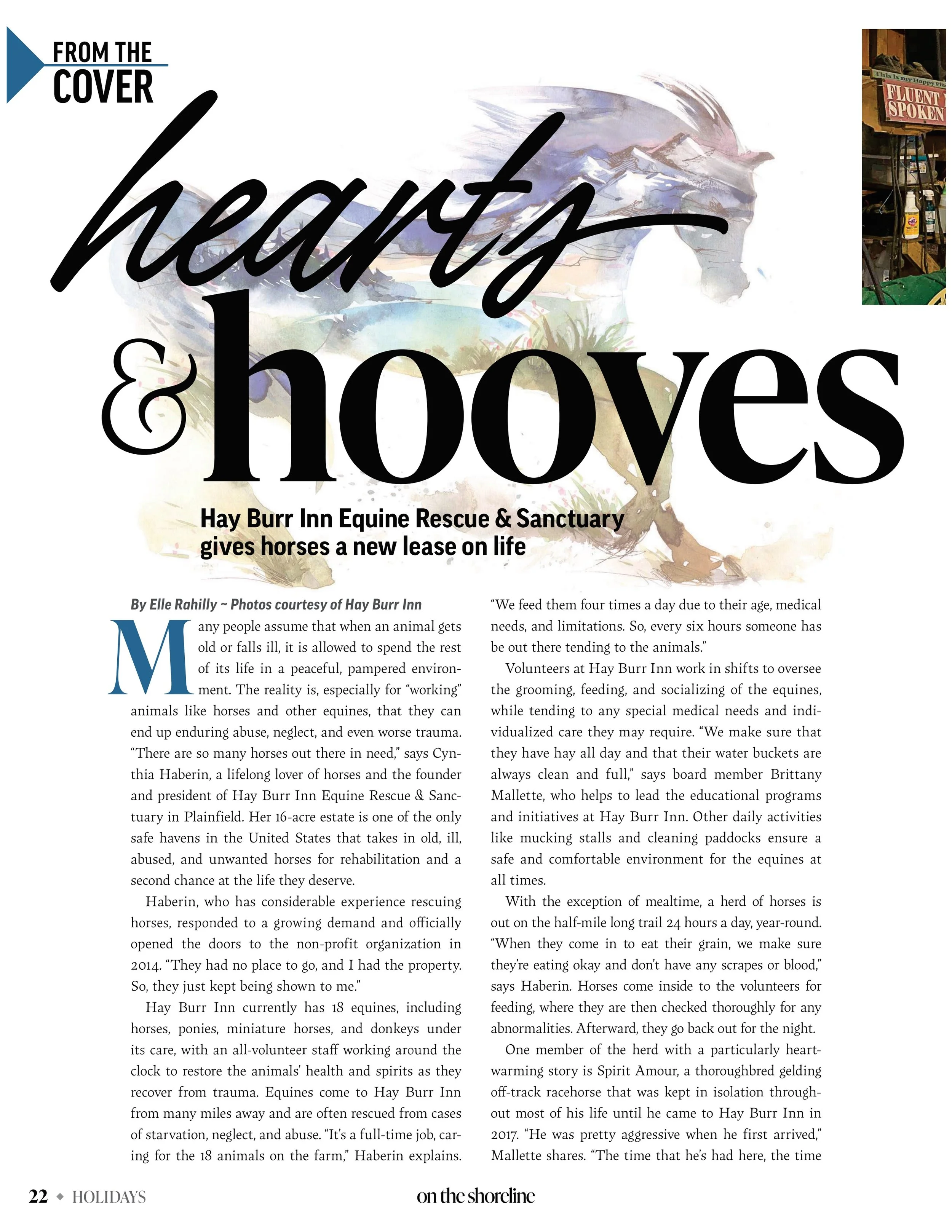 Hearts and hooves | On the Shoreline, October 2024