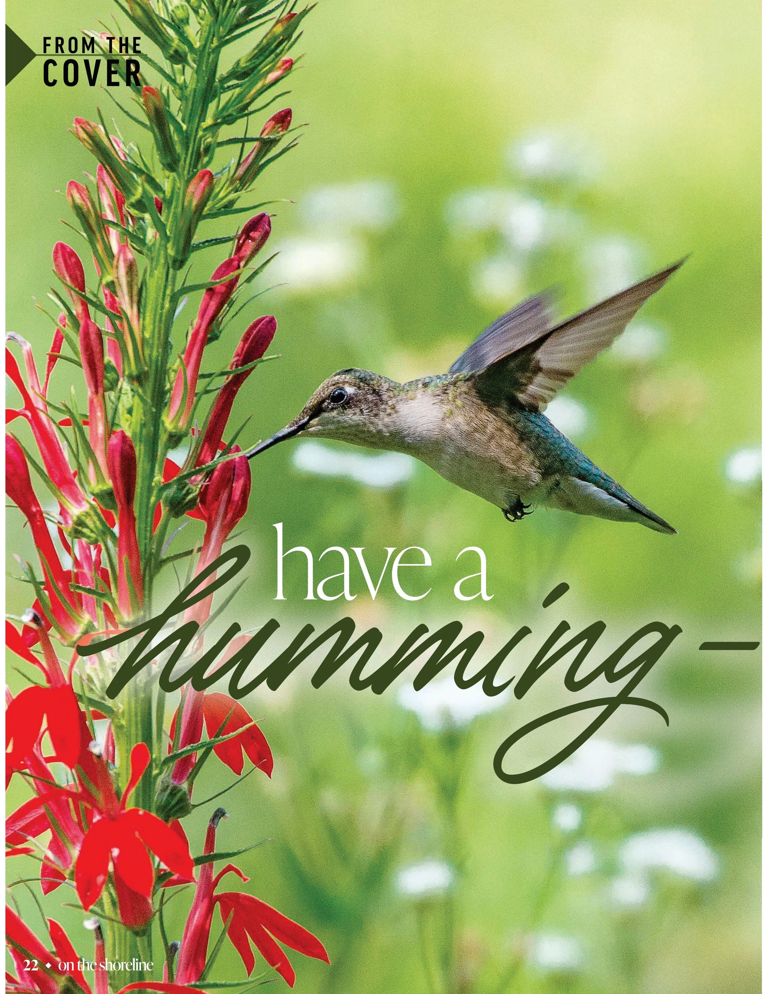 Have a humming good time | On the Shoreline, April 2025