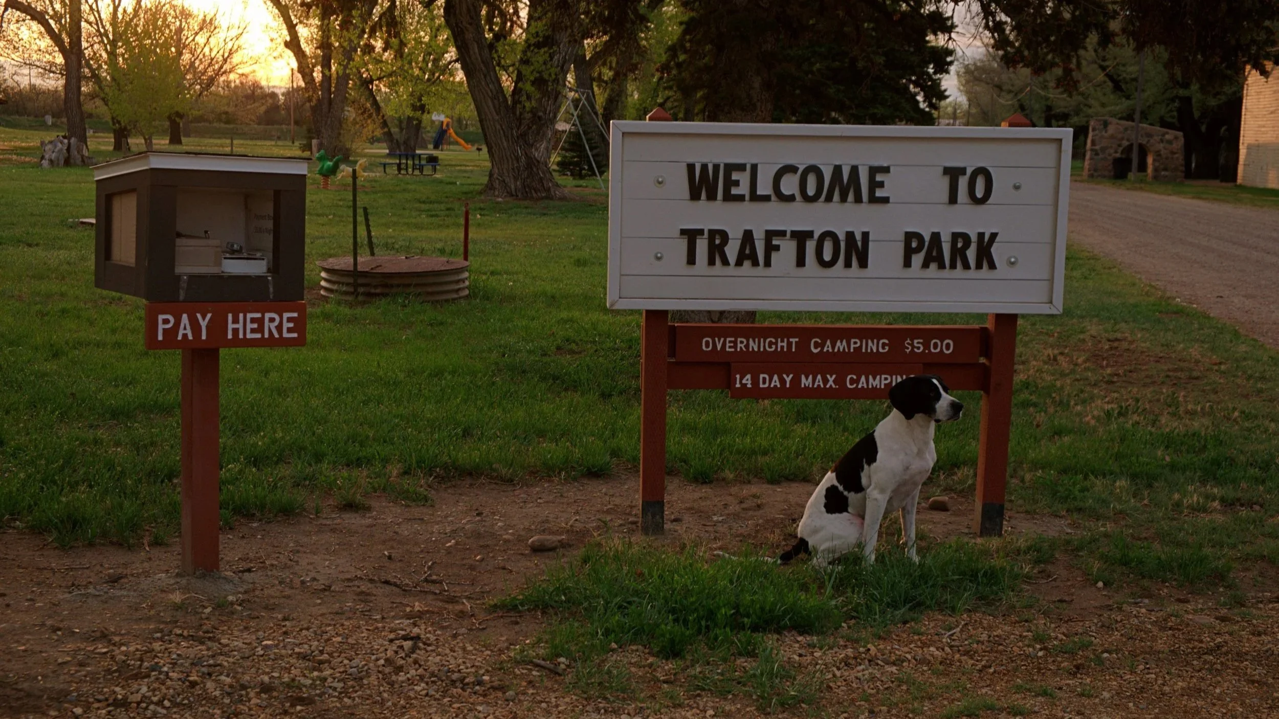 A park entrance sign reads "Welcome to Trafton Park," with a smaller sign underneath stating "Overnight camping $5.00," and "14 Day Max Camping." A black-and-white spotted dog sits beside the sign. In the background, there's a grassy area with trees, a small playground, and a picnic table, with a sunset sky overhead.