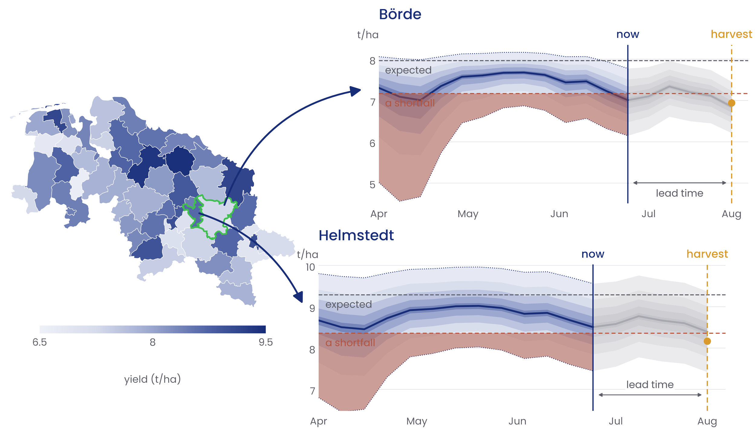 Map of districts colored by forecast yield, with yield forecast ranges over time for the Börde and Helmstedt regions, showing the expected yield, the shortfall risk and lead time before harvest