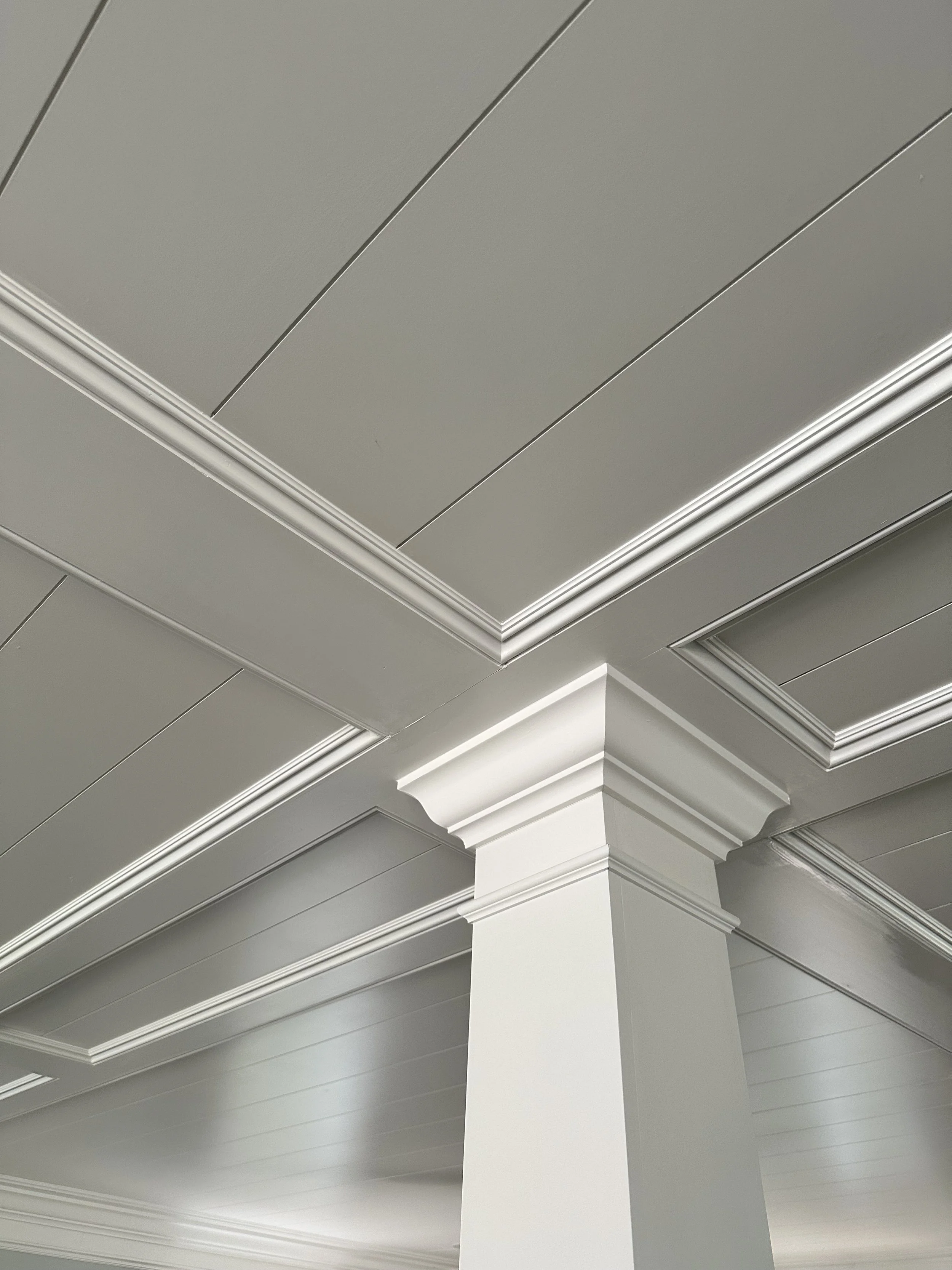 Interior ceiling with white decorative crown molding and panels.