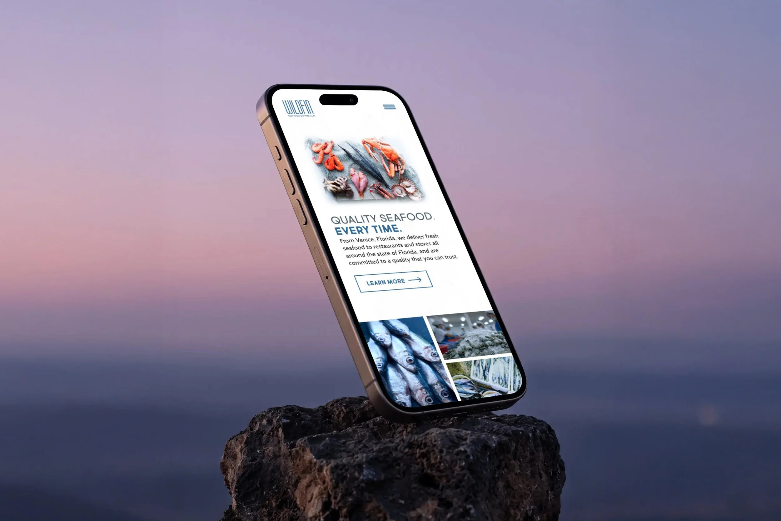 iphone on a rock