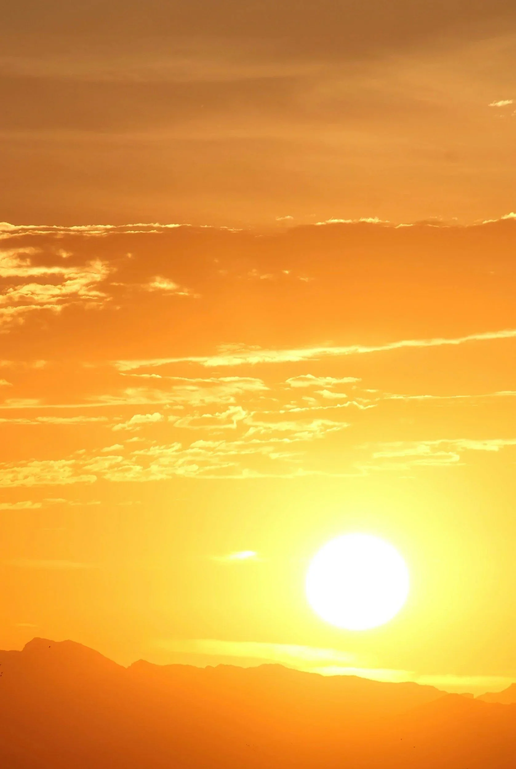 New to Solar? Here's What Every NJ and Central Florida Homeowner Should Know Before Going Solar