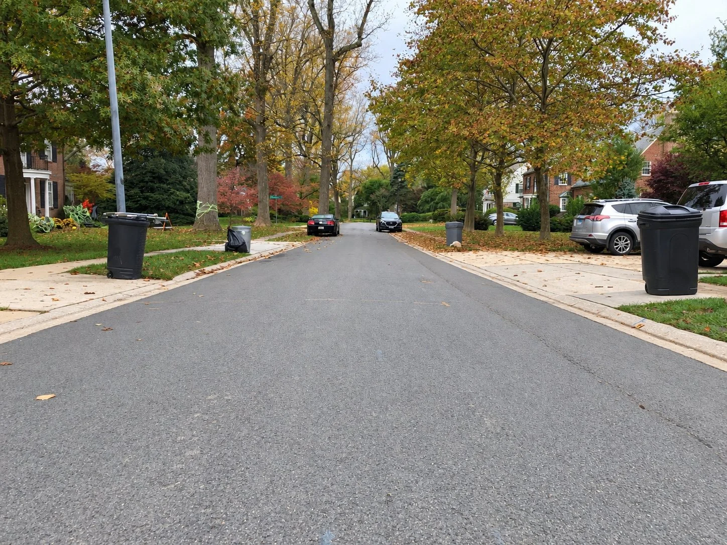 Residential street with carts set out for collection, Baltimore County, Maryland