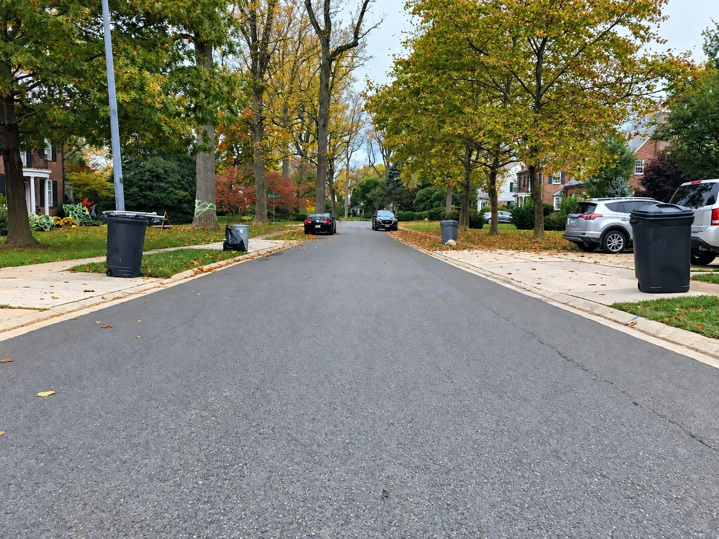 Residential carts set out on a tree-lined street in Baltimore County, Maryland