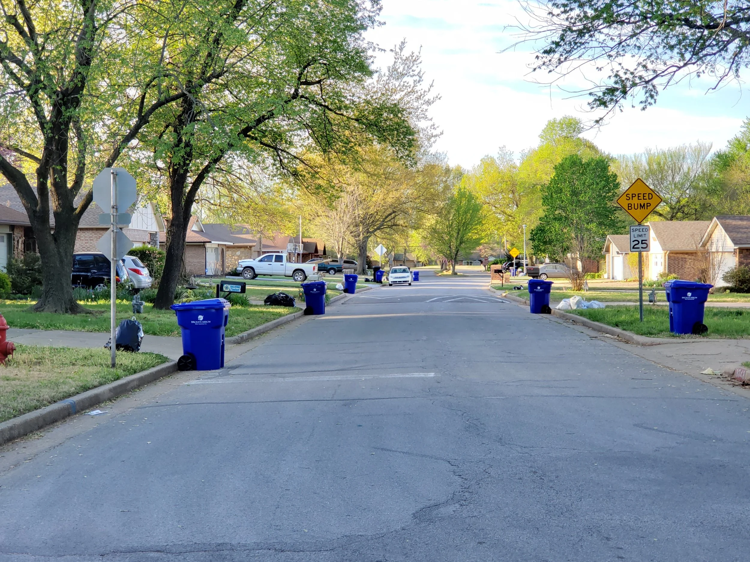 Carts set out on collection day on a residential street